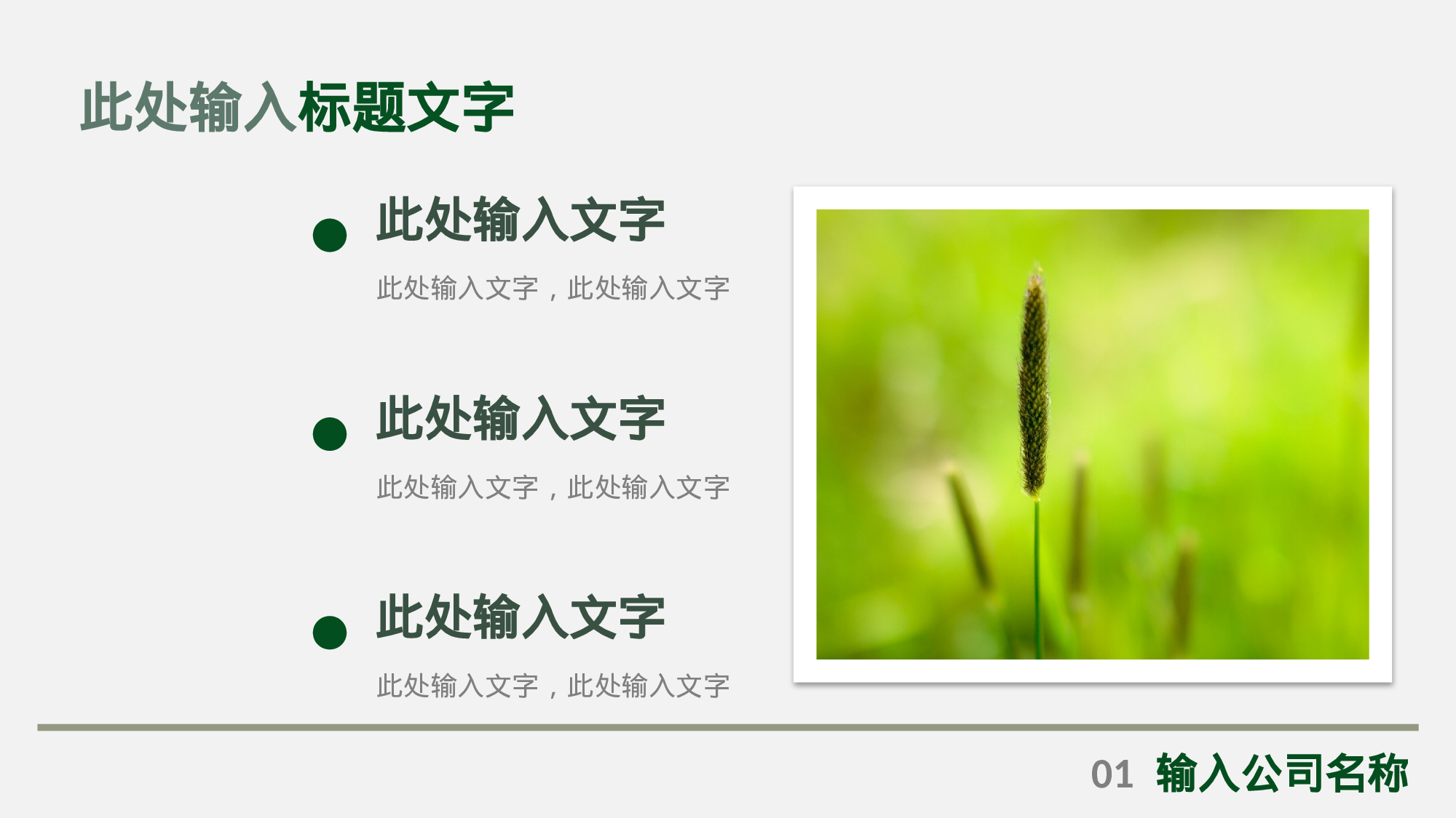 大气商务模板09345.pptx 第5页