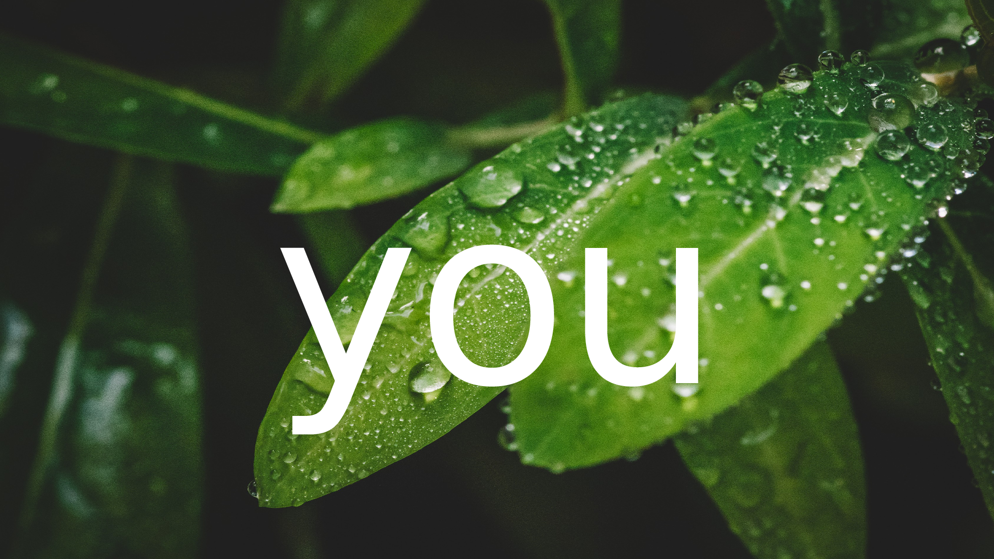 【编号41】酷炫图文相册通用宣传介绍.pptx 第2页