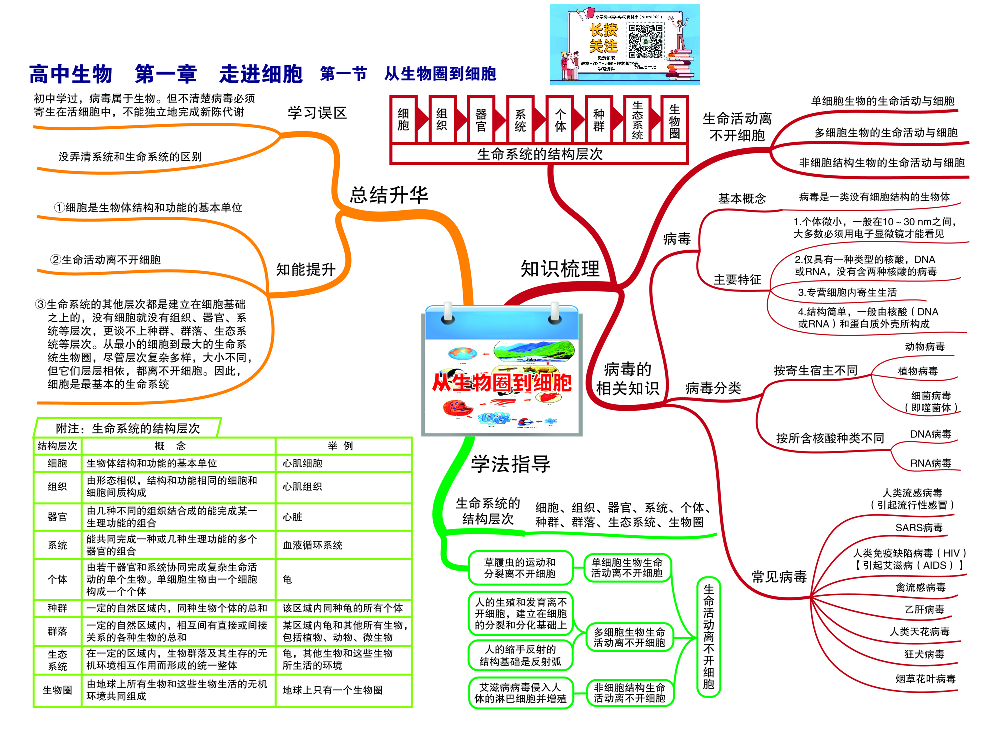 高中生物-思维导图（45图）.pdf 第1页