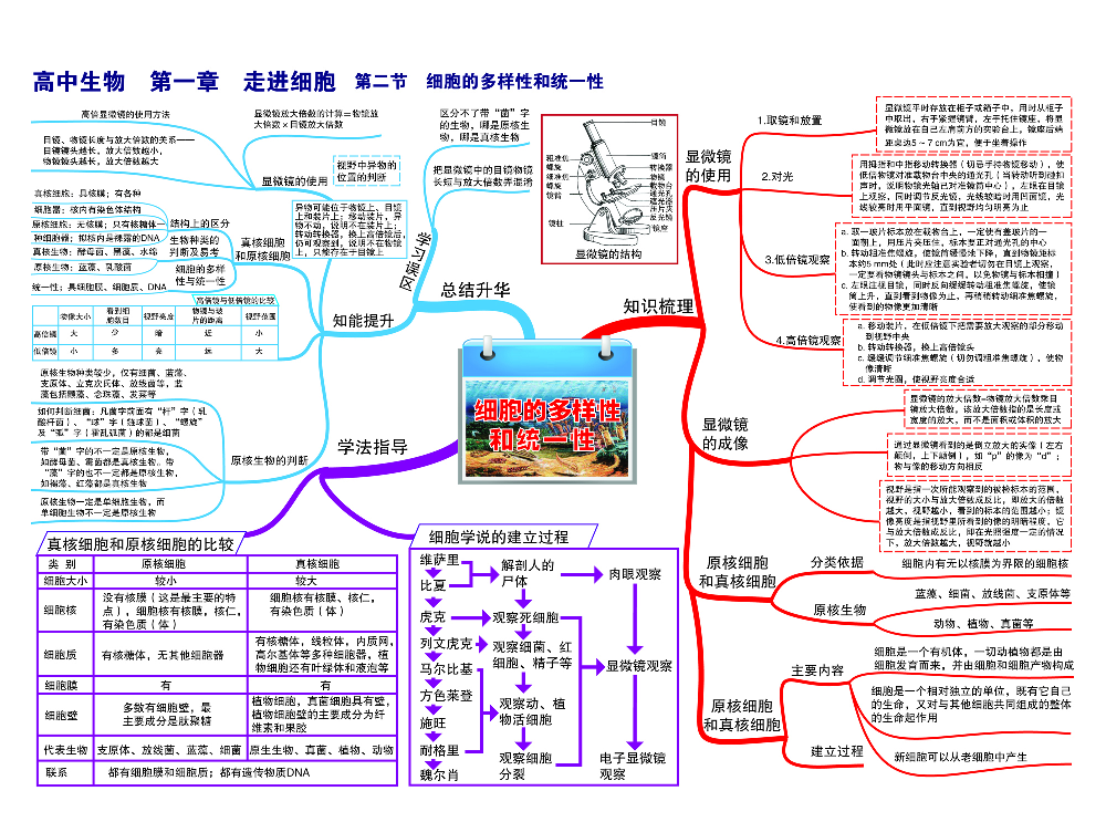 高中生物-思维导图（45图）.pdf 第2页