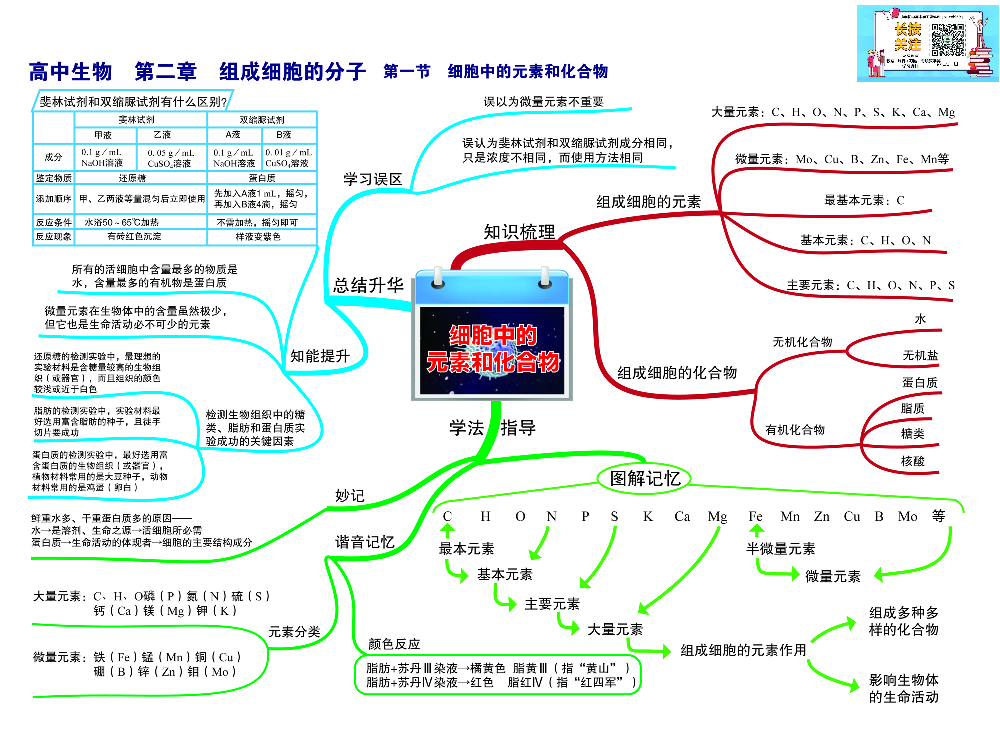 高中生物-思维导图（45图）.pdf 第3页