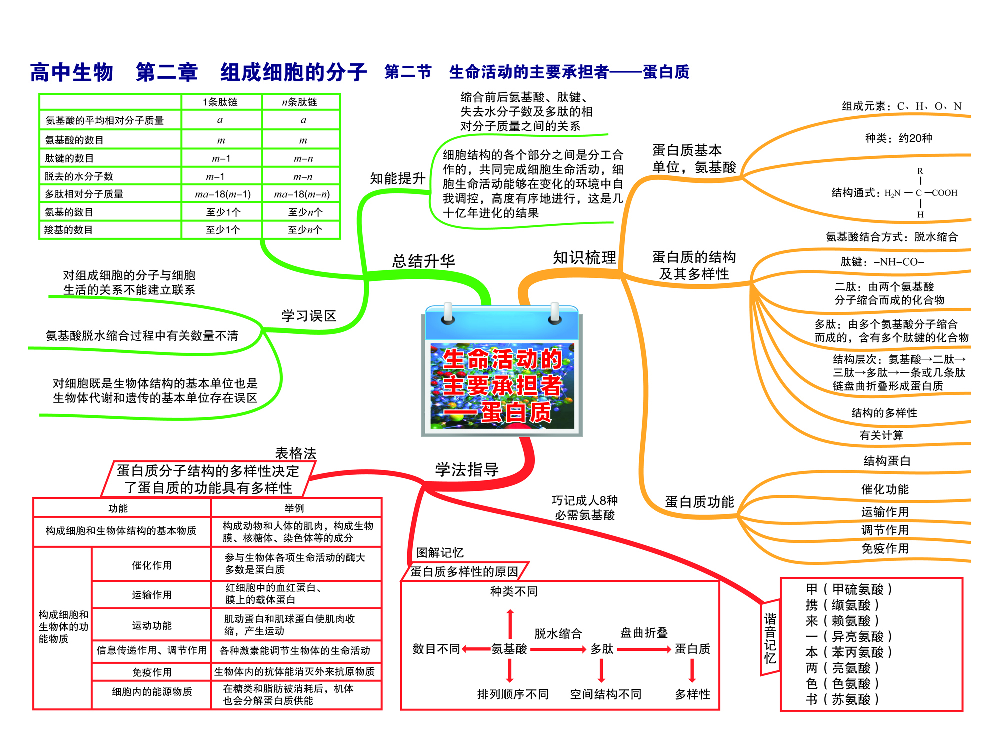 高中生物-思维导图（45图）.pdf 第4页