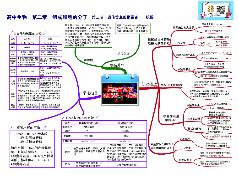 高中生物-思维导图（45图）.pdf 第5页