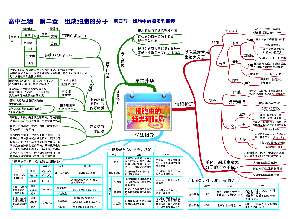高中生物-思维导图（45图）.pdf 第6页