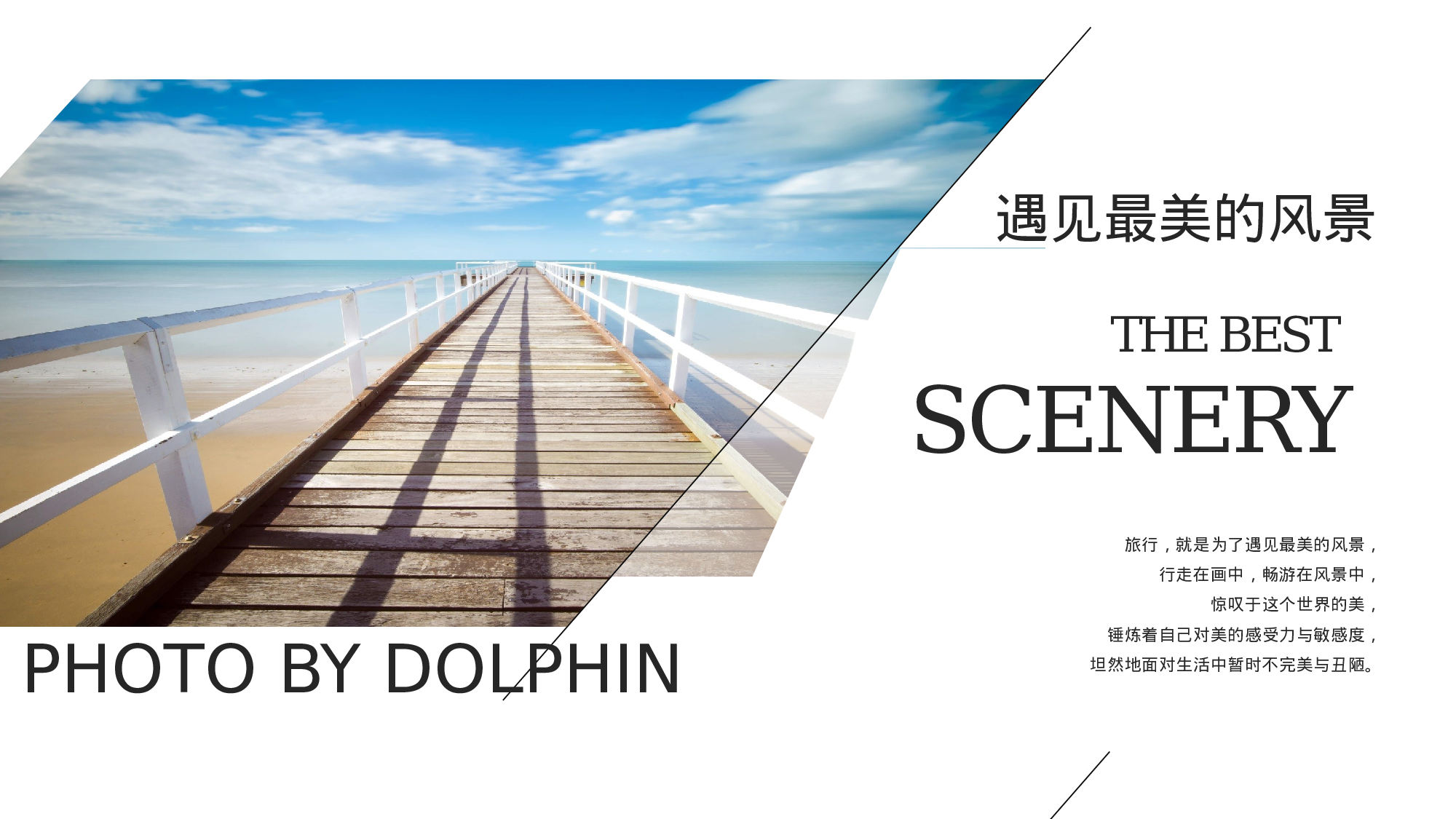 作品集-编号2019.pptx 第4页