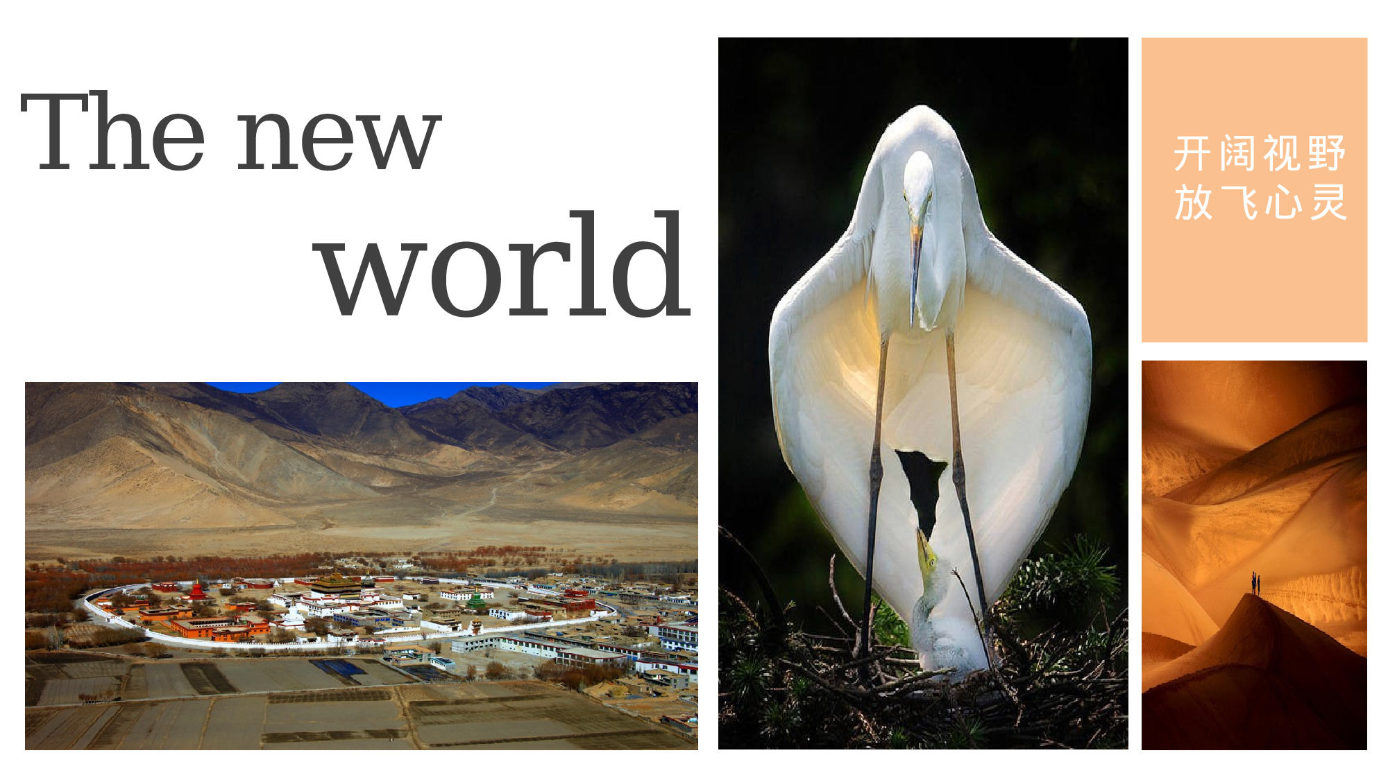 作品集-编号2019.pptx 第6页