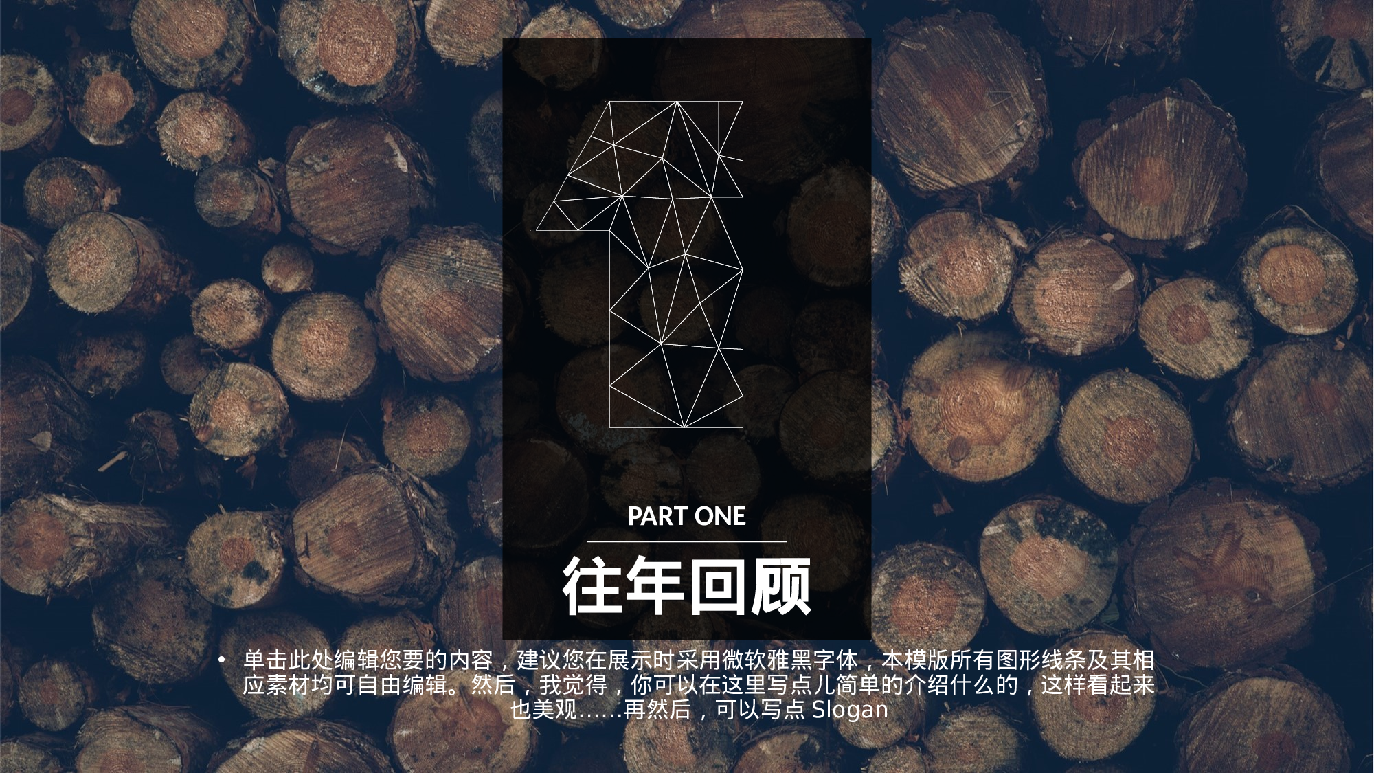 编号12-欧美极简大气【三】.pptx 第4页