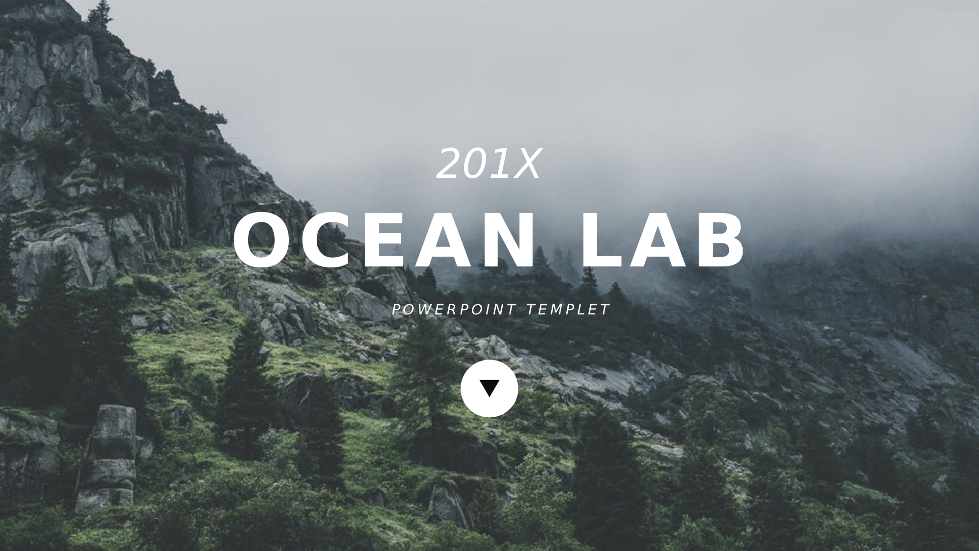 编号15-欧美极简大气【三】.pptx 第1页