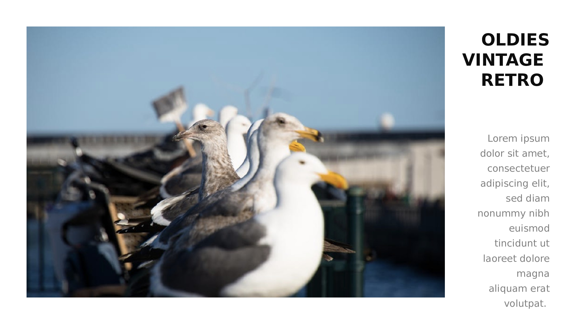 编号15-欧美极简大气【三】.pptx 第4页