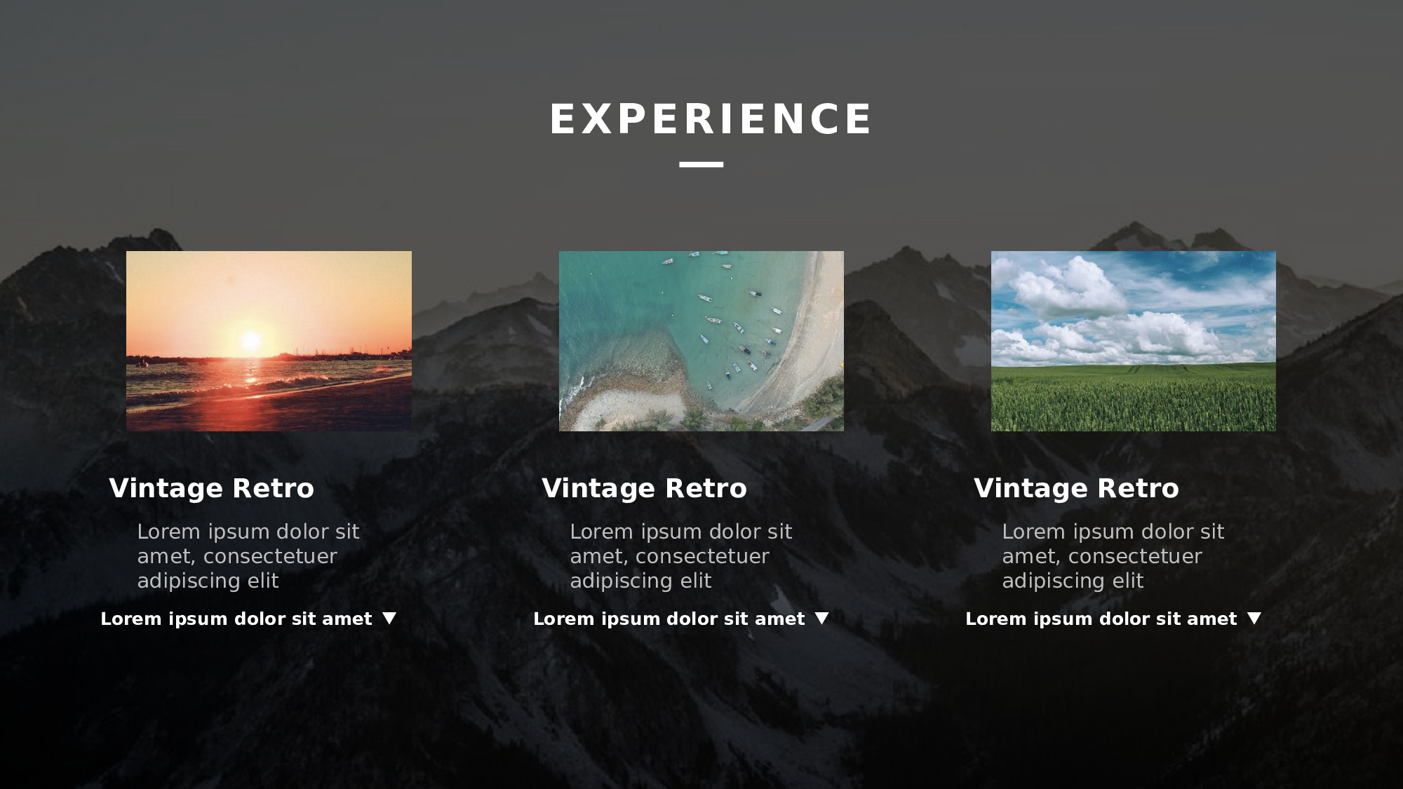 编号15-欧美极简大气【三】.pptx 第5页