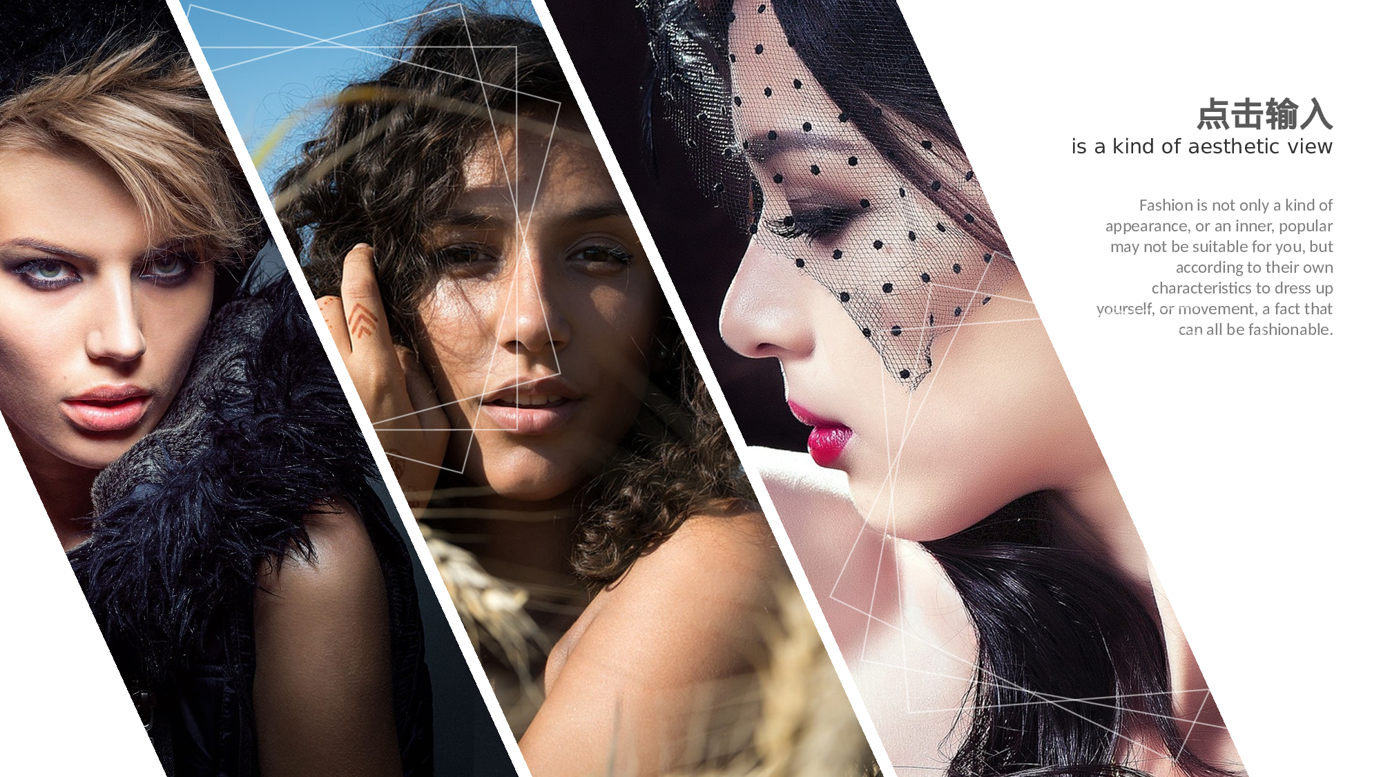 编号16-欧美极简大气【三】.pptx 第3页