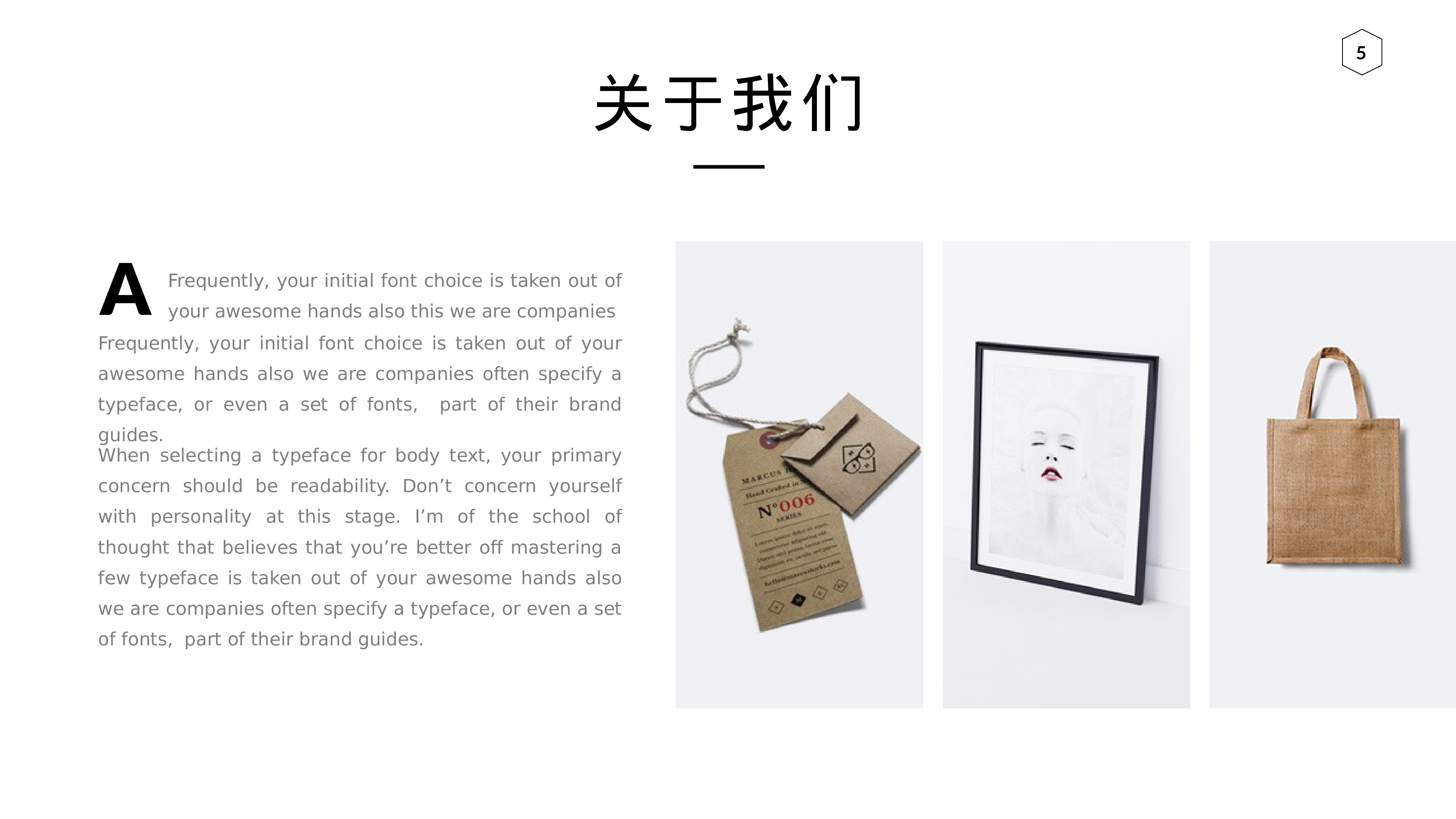 编号17-欧美极简大气【三】.pptx 第5页