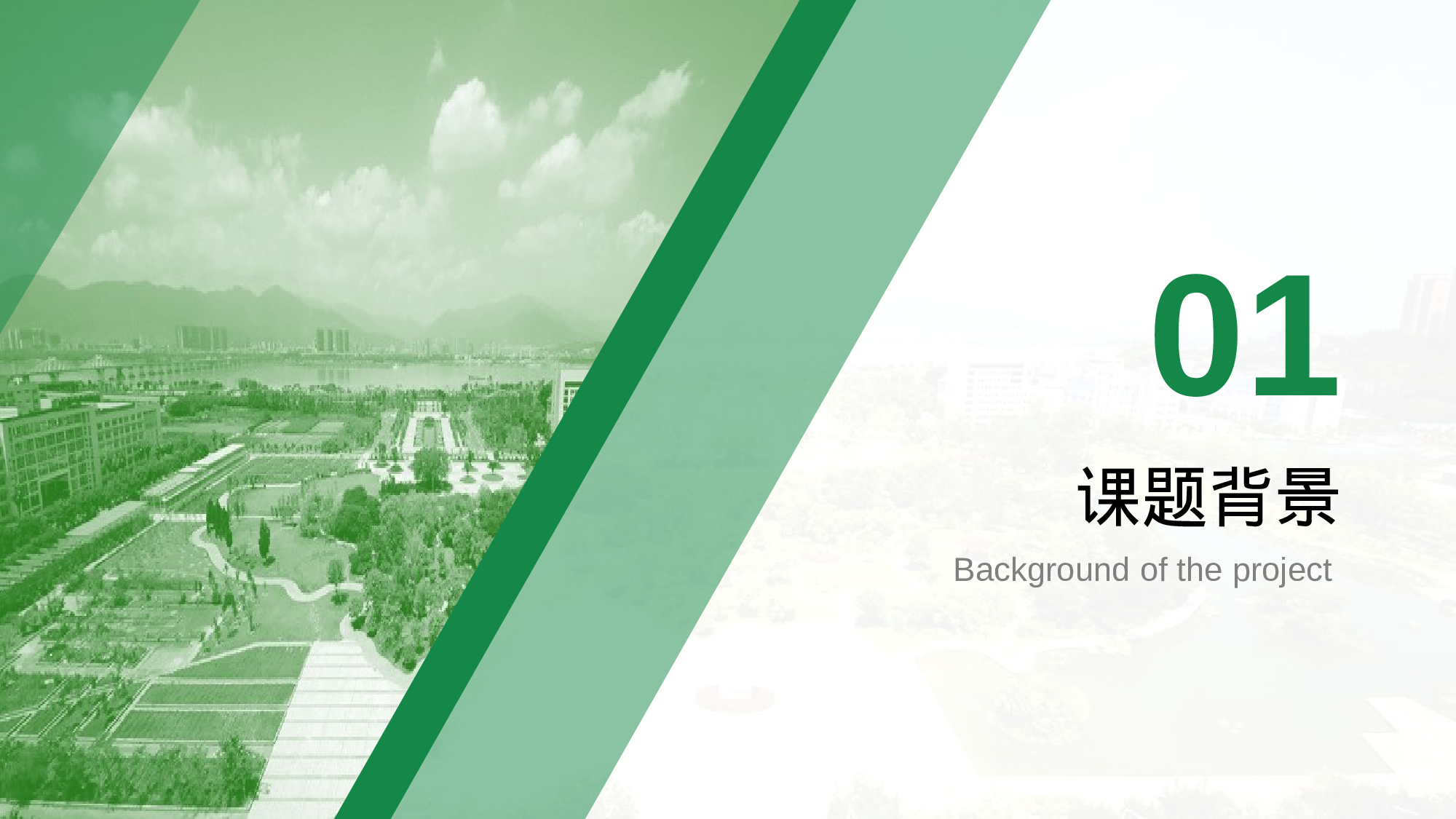 福建农林大学-王茜茜-汇报答辩通用PPT模板.pptx 第5页