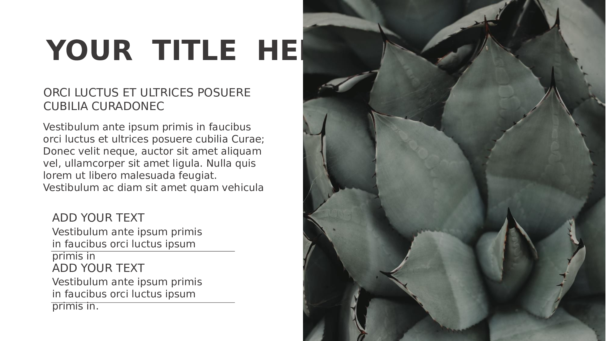 编号05-欧美极简大气【三】.pptx 第4页