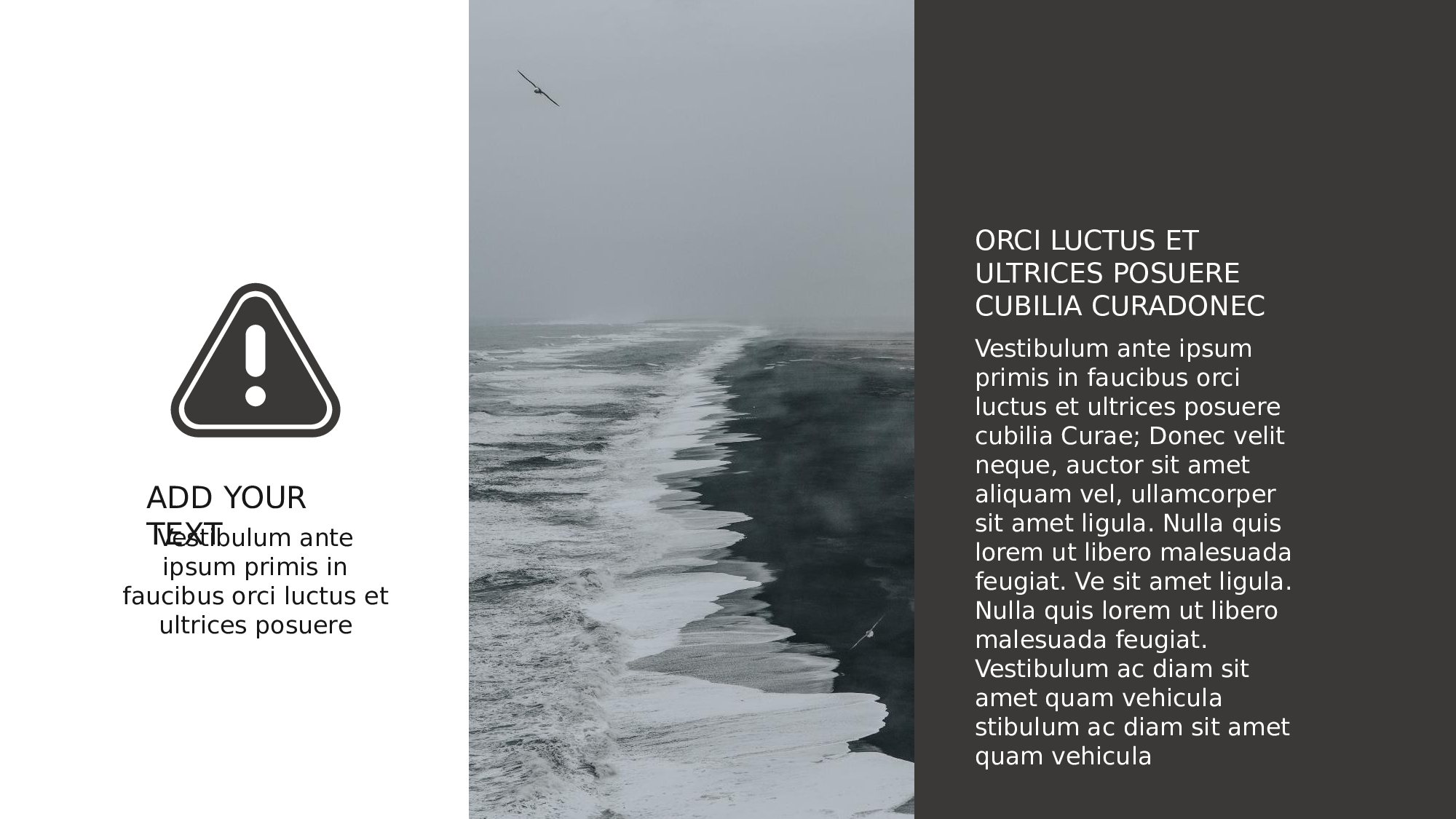 编号05-欧美极简大气【三】.pptx 第5页