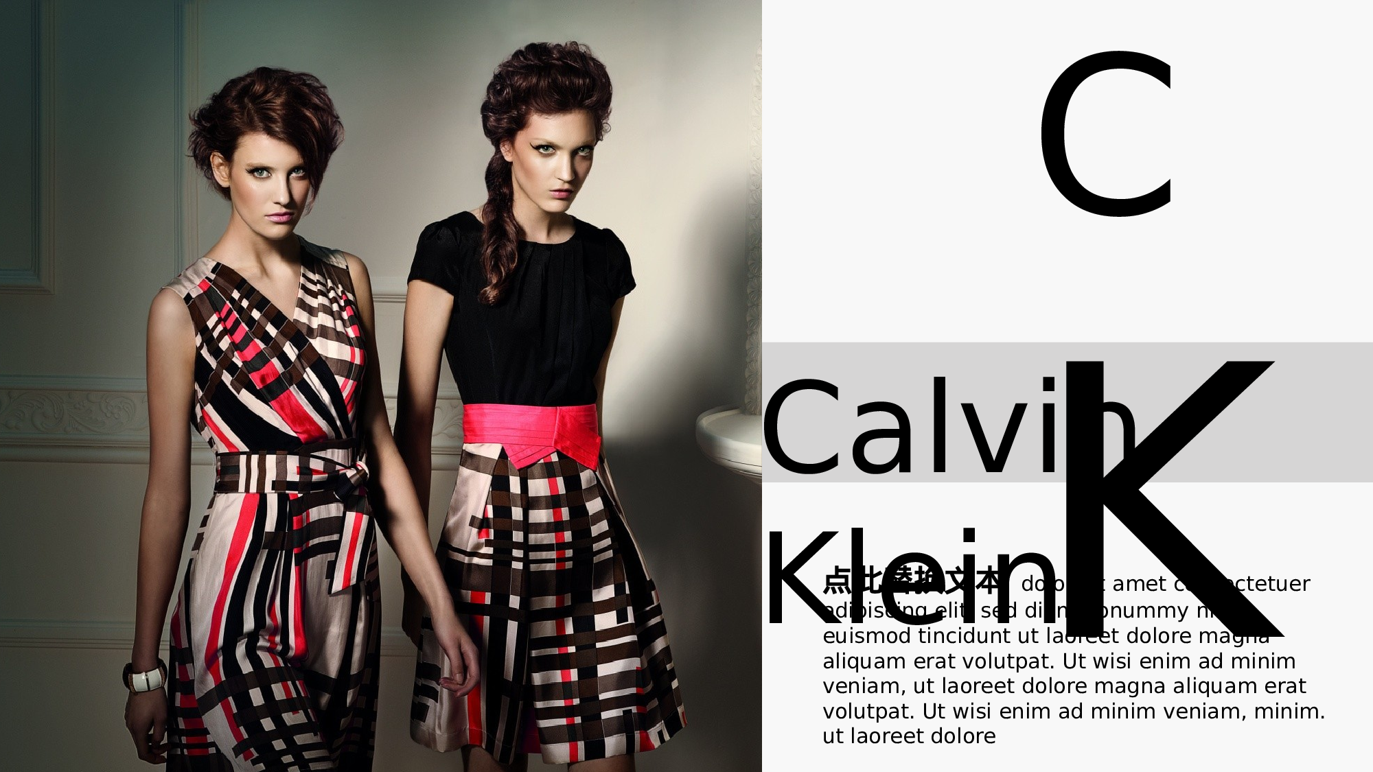 编号09-欧美极简大气【三】.pptx 第5页