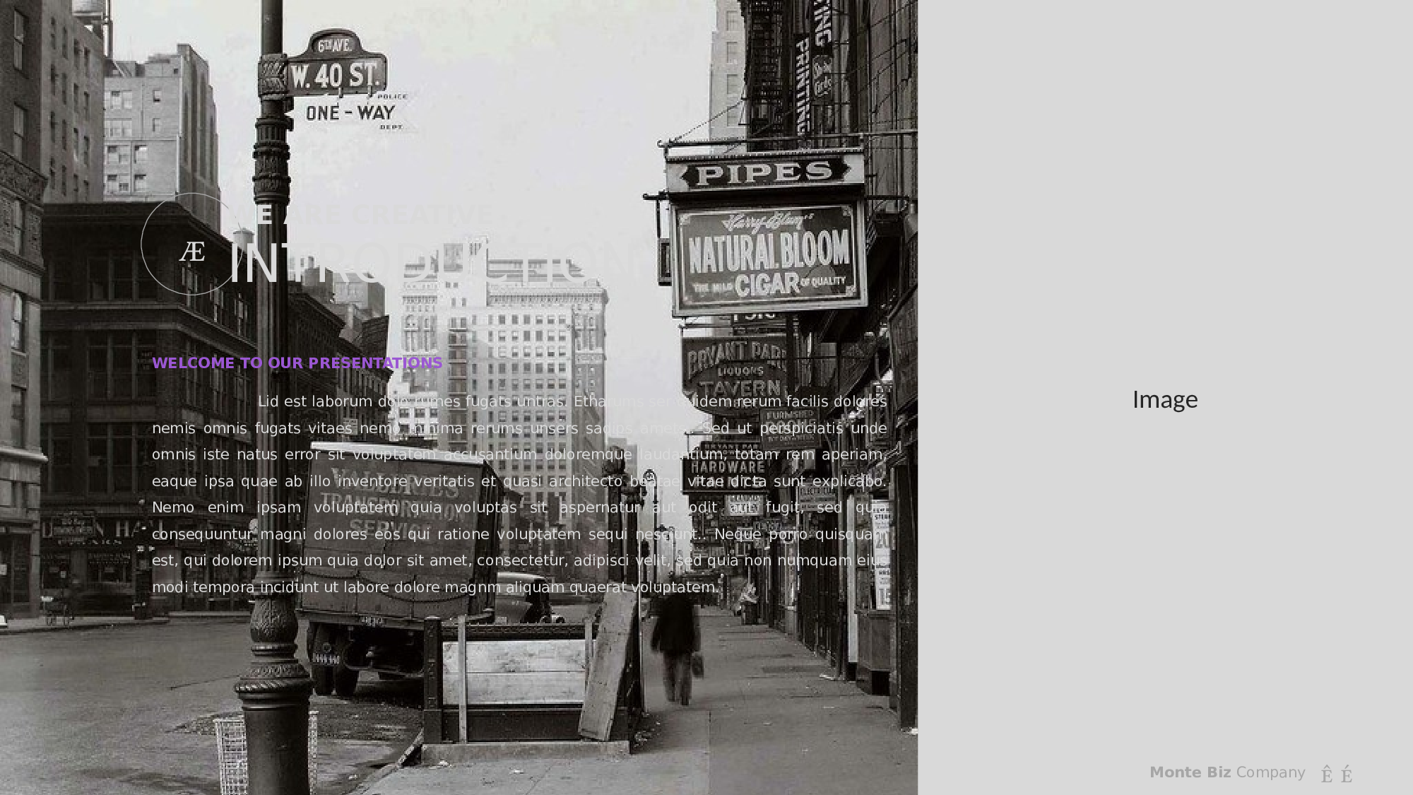 编号27-欧美极简大气【三】.pptx 第3页