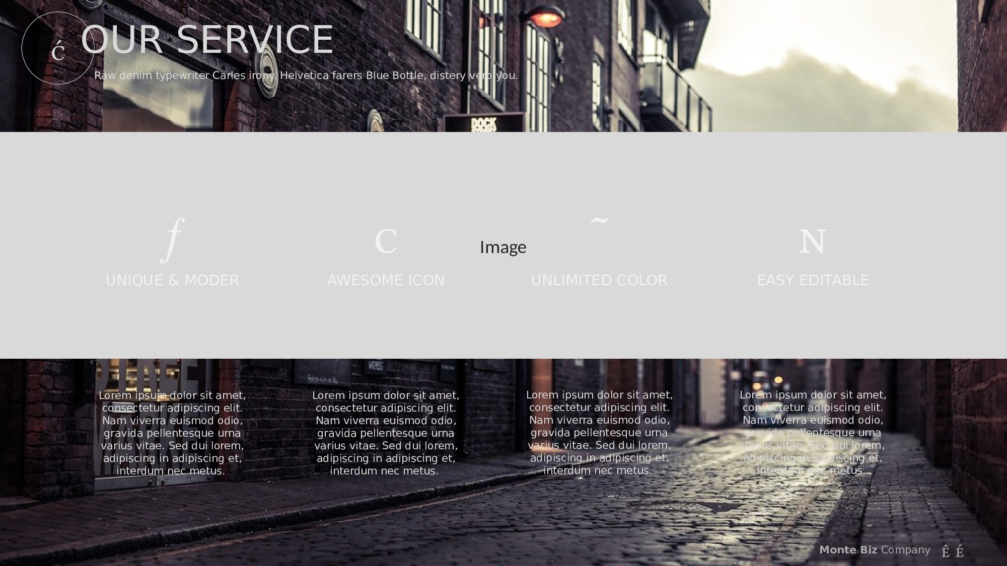编号27-欧美极简大气【三】.pptx 第5页