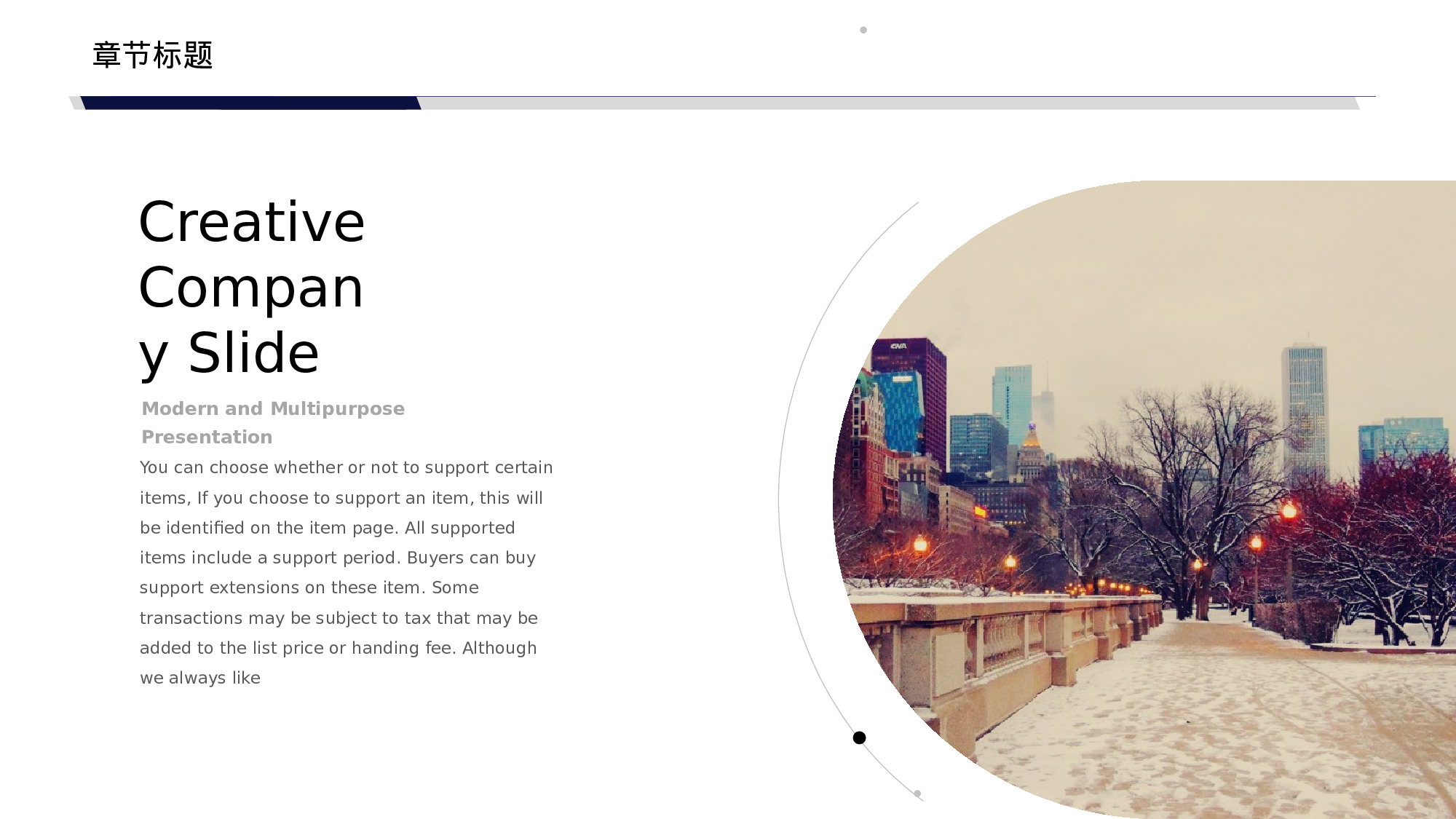 编号38-欧美极简大气【三】.pptx 第4页