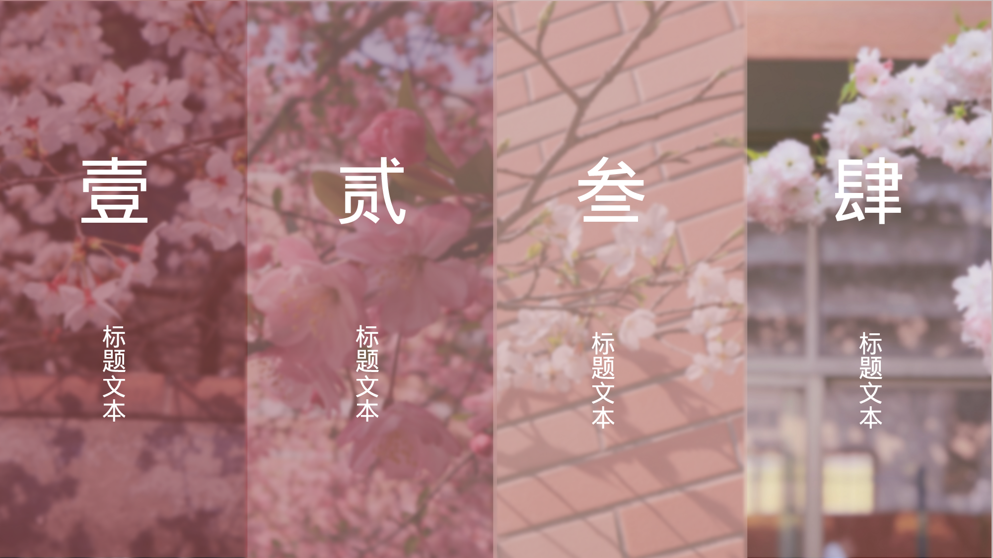 某某大学答辩通用模板286.pptx 第2页