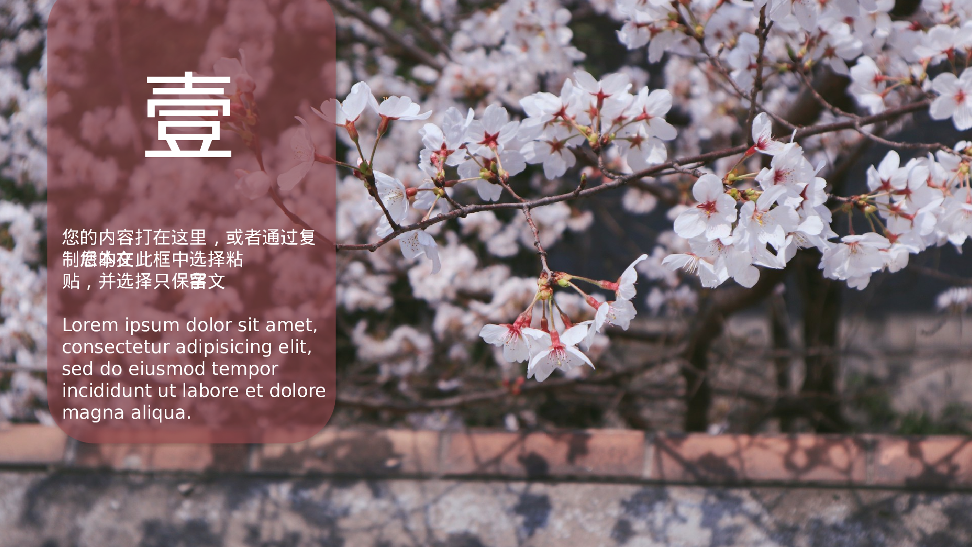 某某大学答辩通用模板286.pptx 第3页