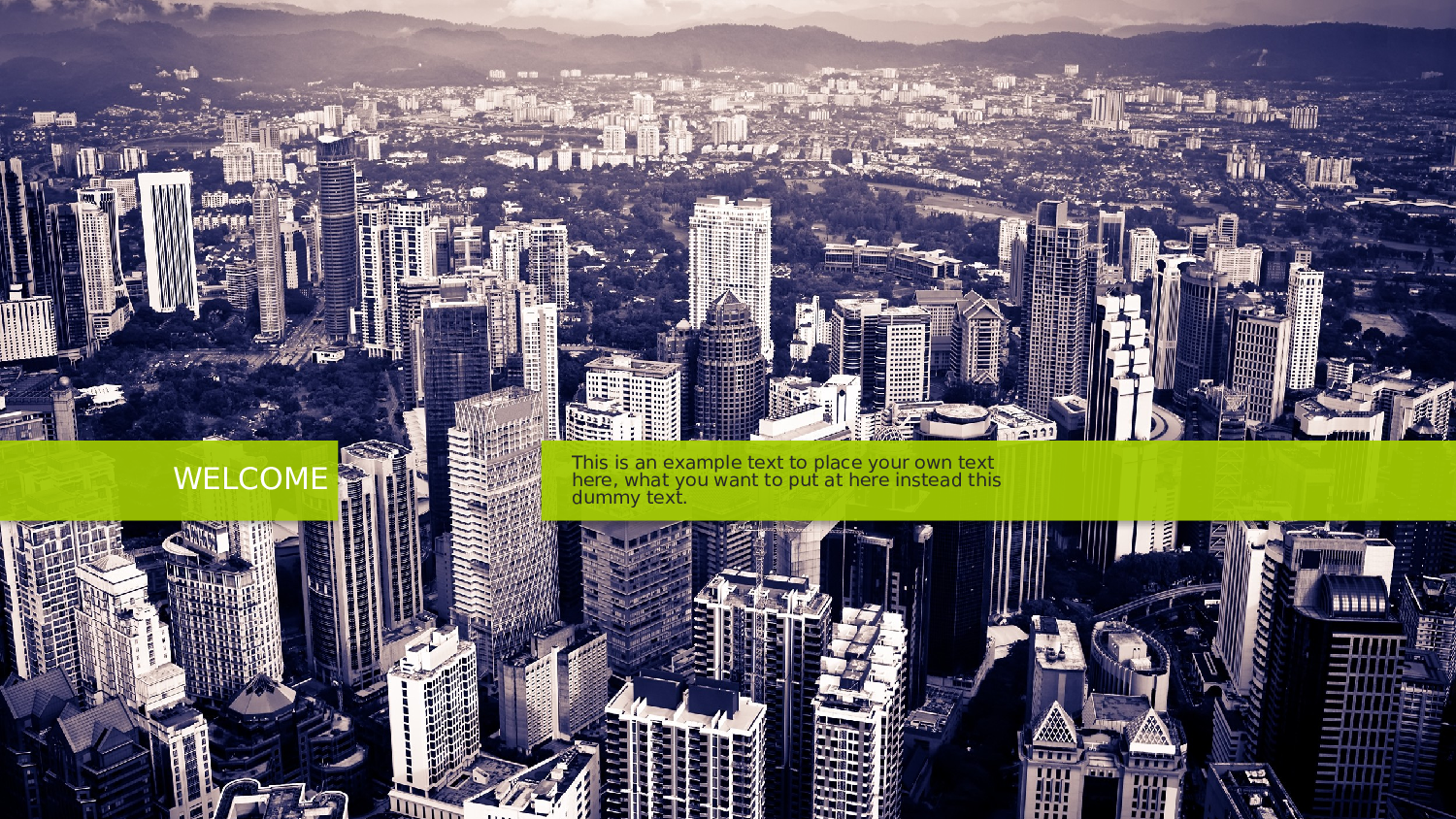 欧business (2).pptx 第2页