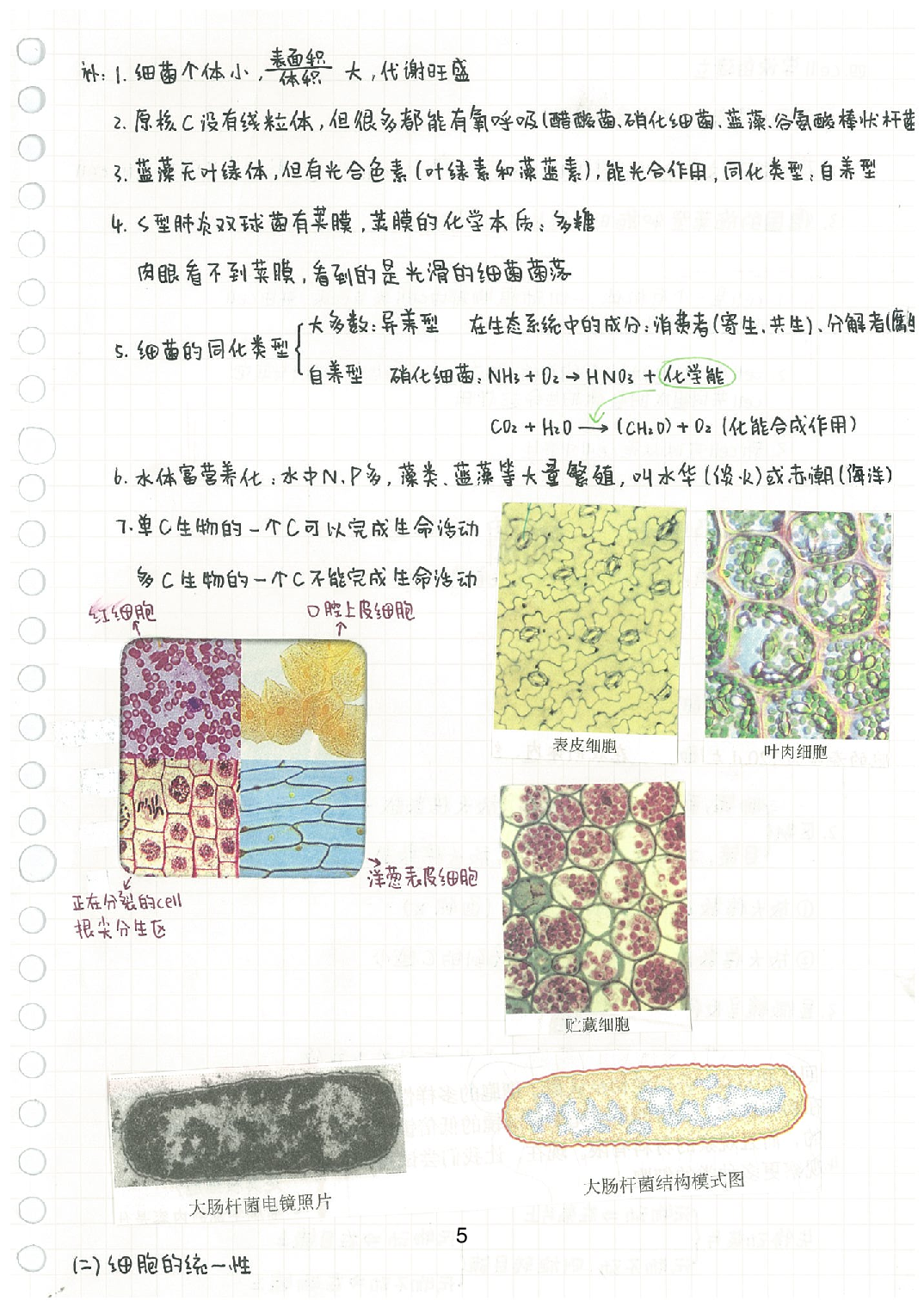 11必修1&必修2.Removed-Output.pdf 第6页