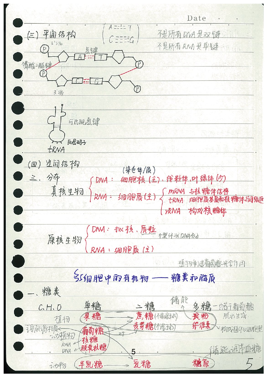 08生物必修知识点.Removed-Output.pdf 第6页