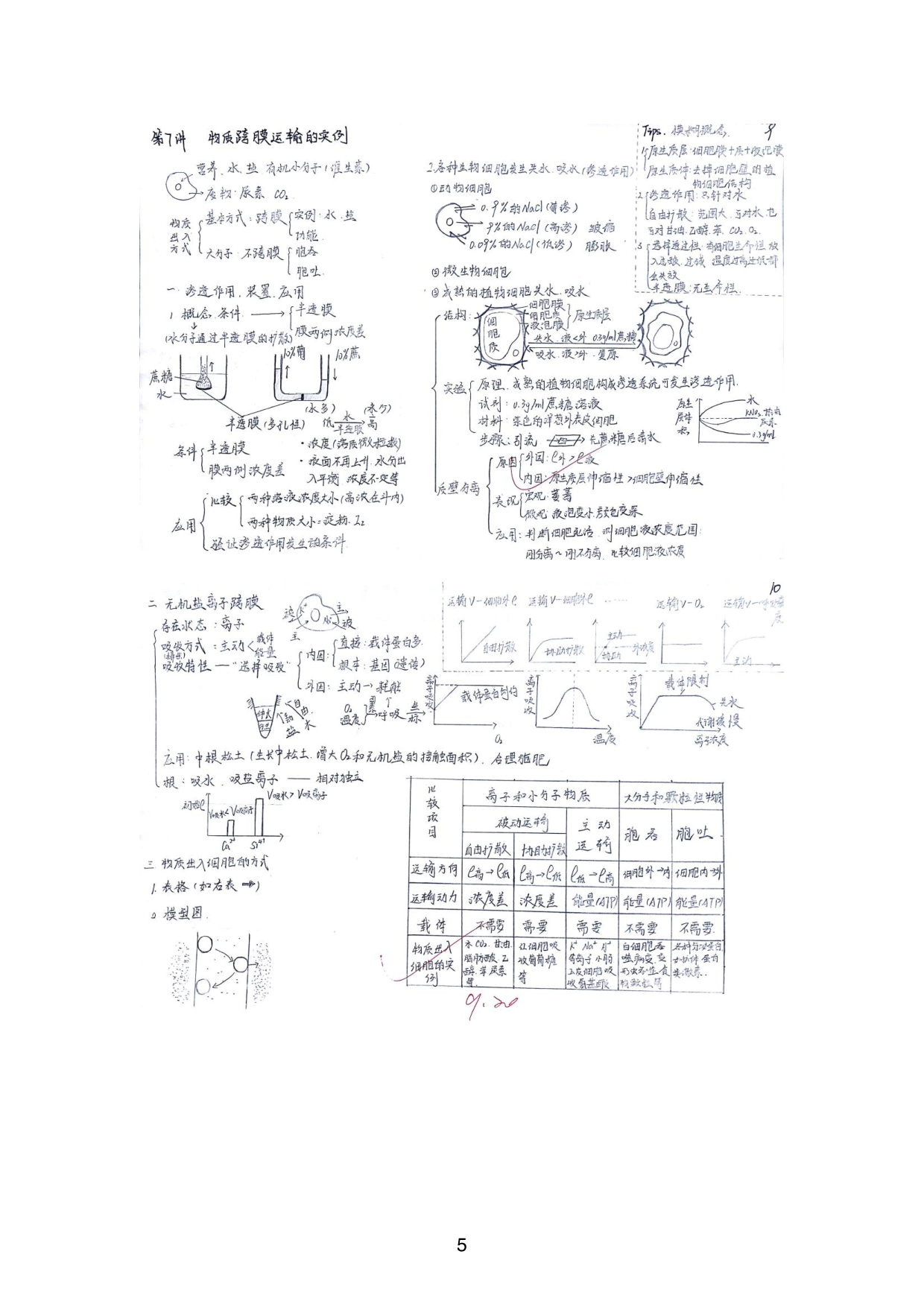 01生物一轮复习知识框架.Removed-Output.pdf 第6页