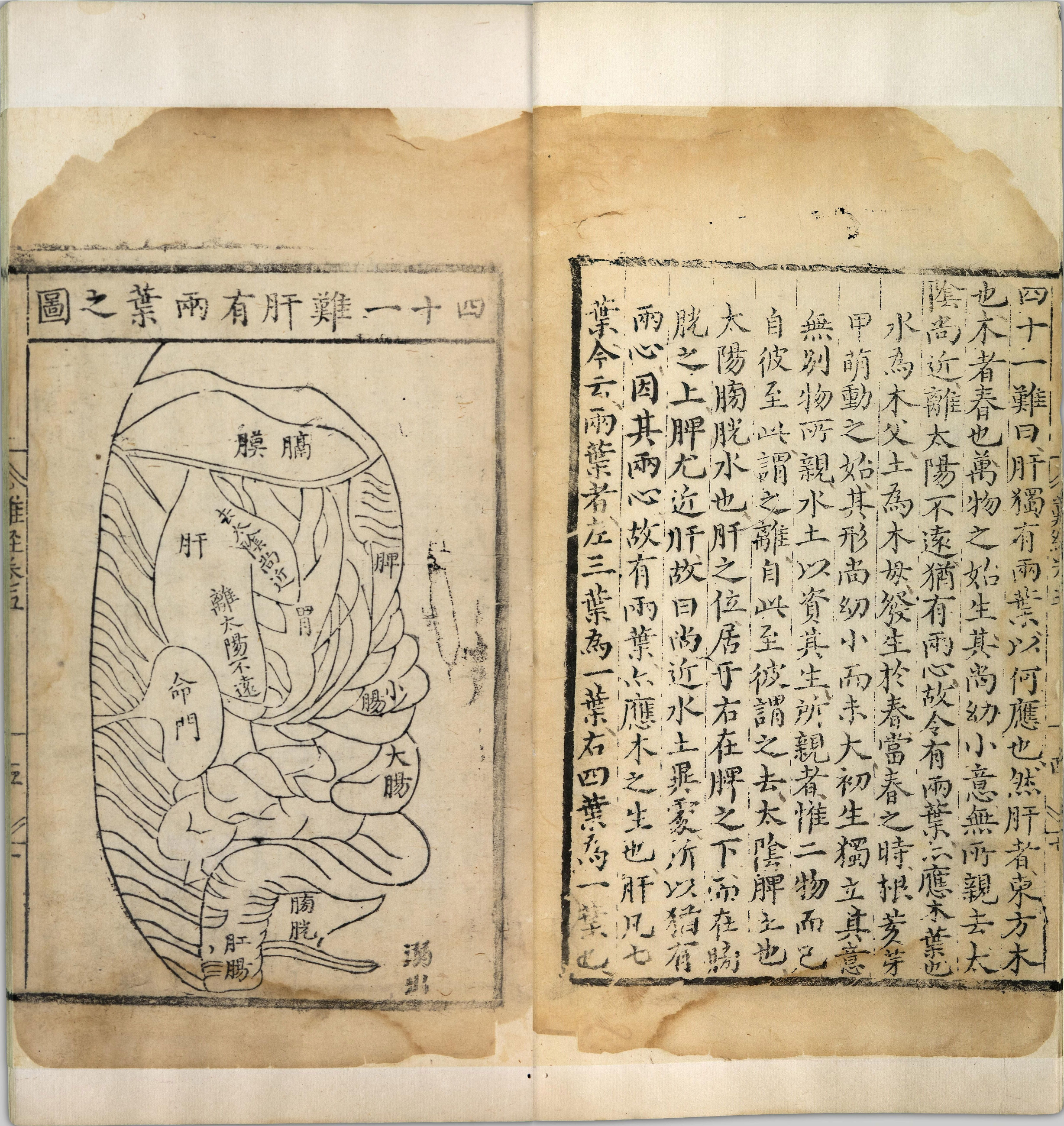 图注八十一难经.八卷.明.张世贤撰.明正德五年扬州吕邦佑刊本_p101-150.pdf 第3页