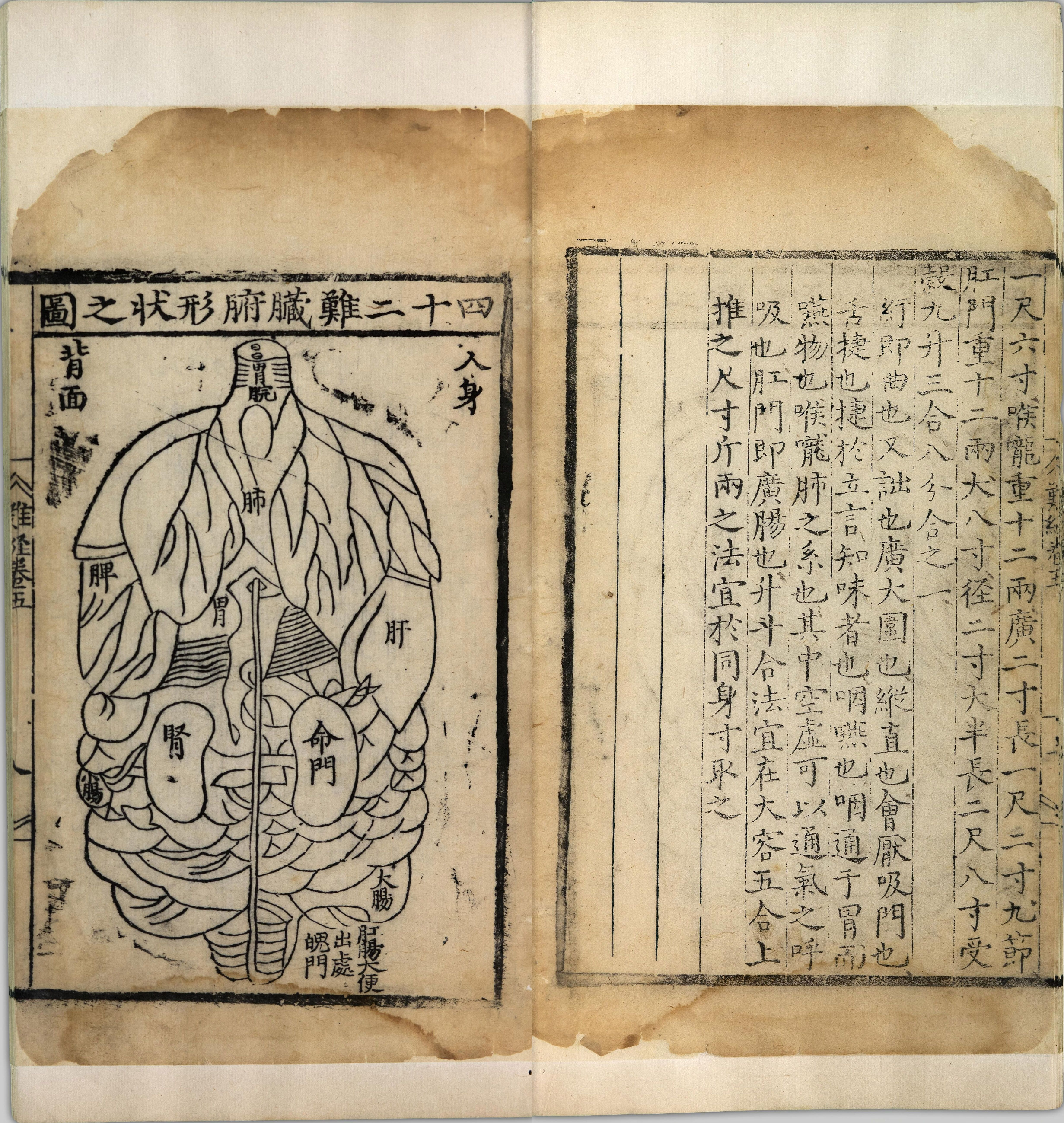 图注八十一难经.八卷.明.张世贤撰.明正德五年扬州吕邦佑刊本_p101-150.pdf 第6页