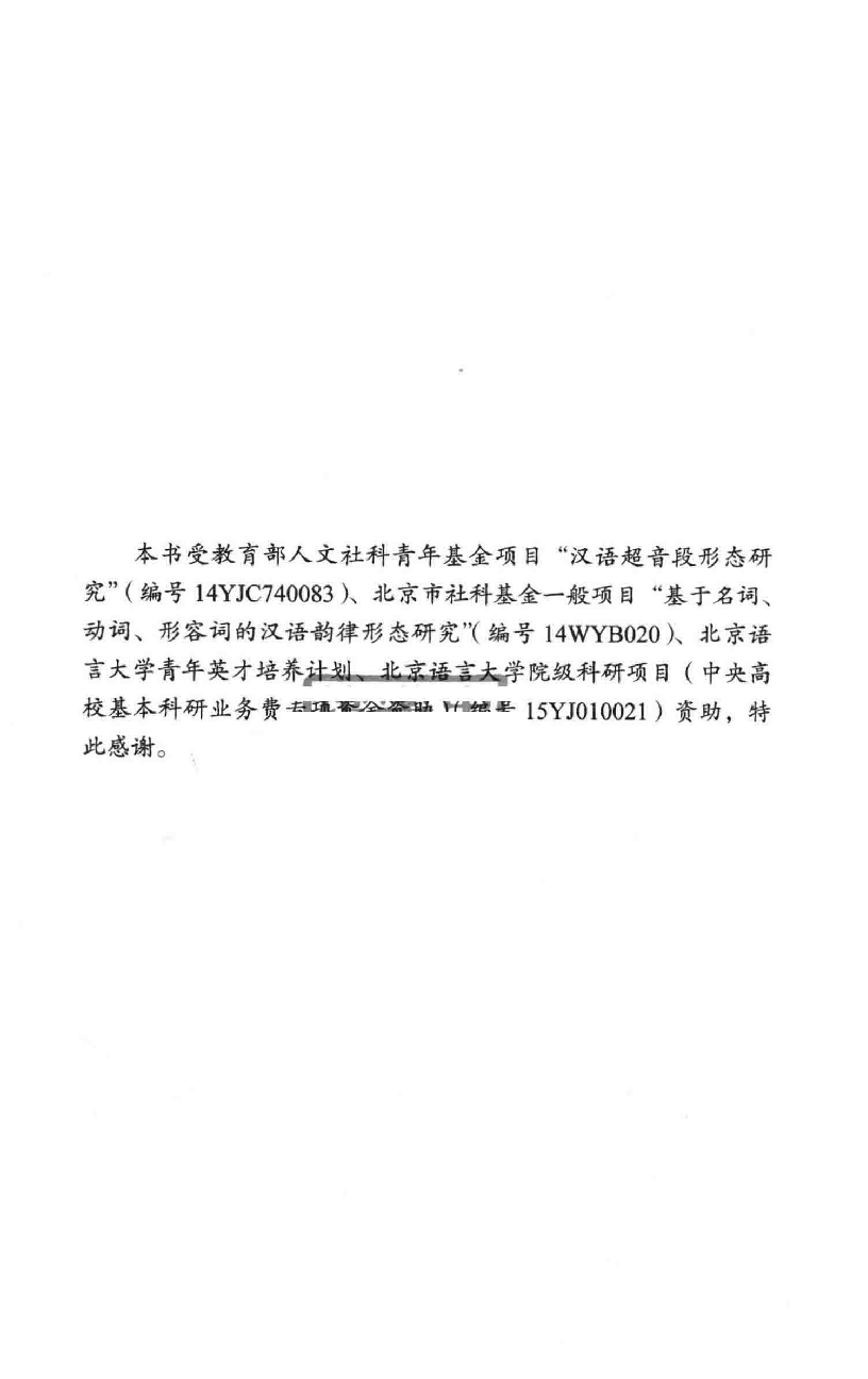 汉语的韵律形态(王丽娟).pdf 第5页