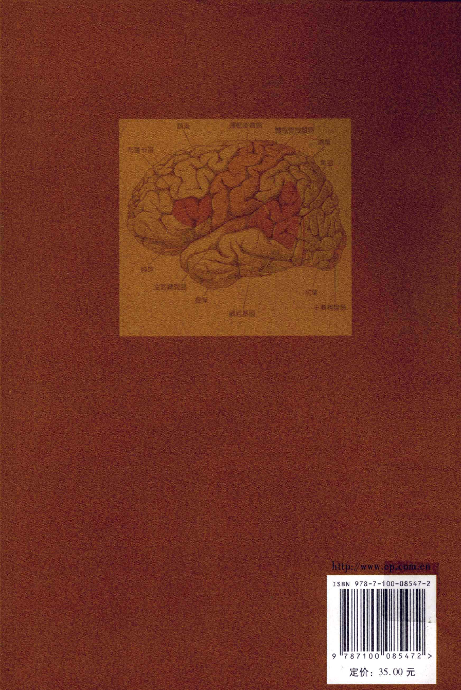 语言、演化与大脑(王士元).pdf 第2页