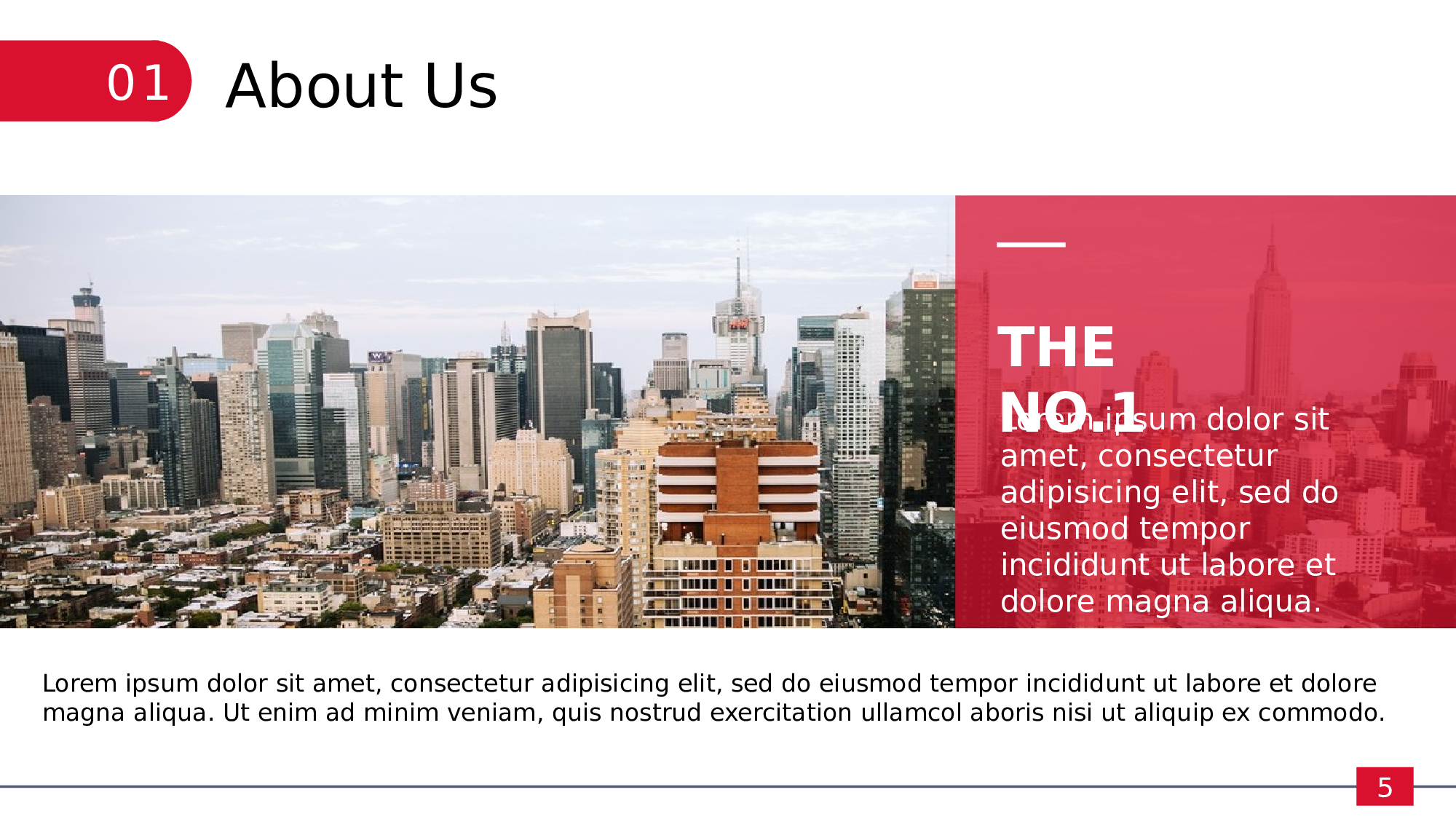 总结汇报10496.pptx 第5页