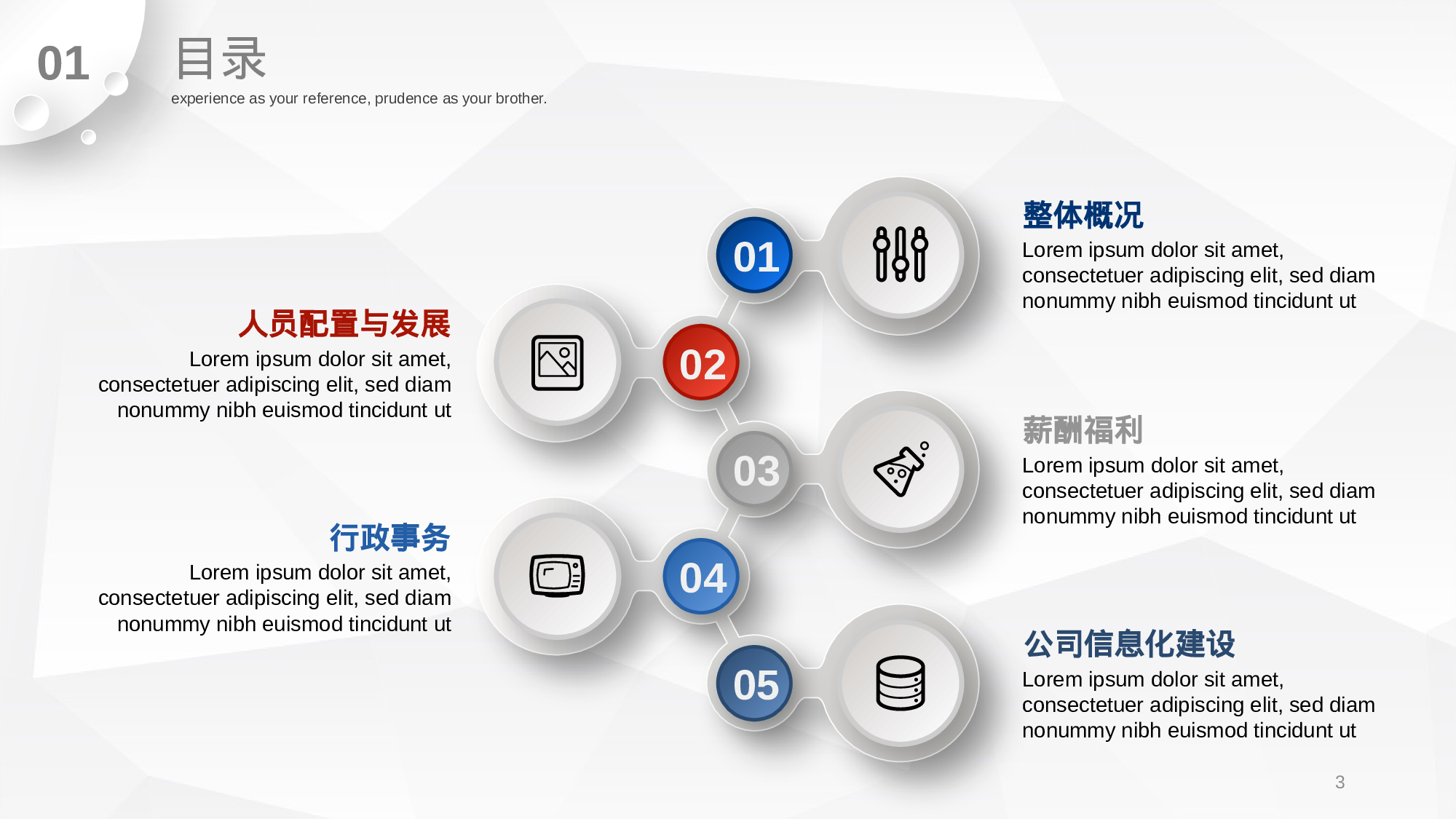 总结汇报212194.pptx 第3页