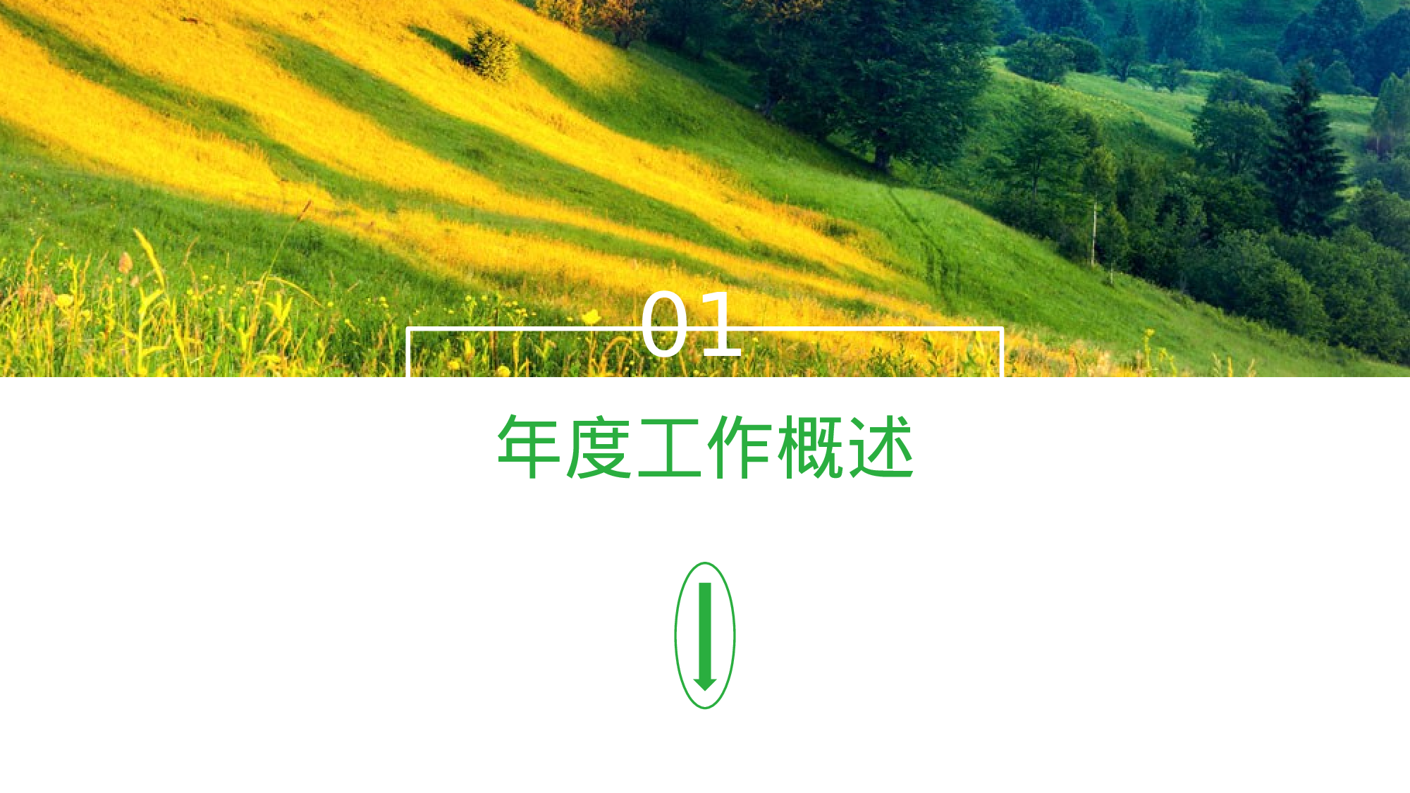 工作总结精选PPT28.pptx 第3页