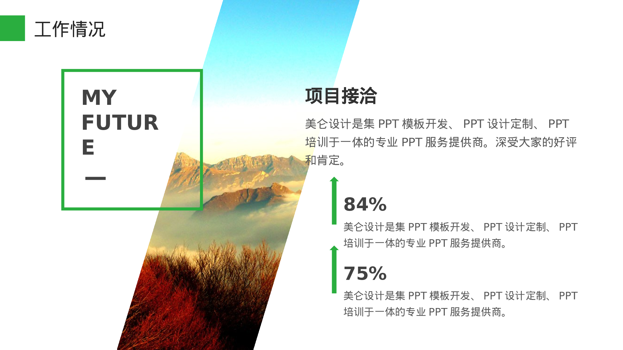 工作总结精选PPT28.pptx 第4页