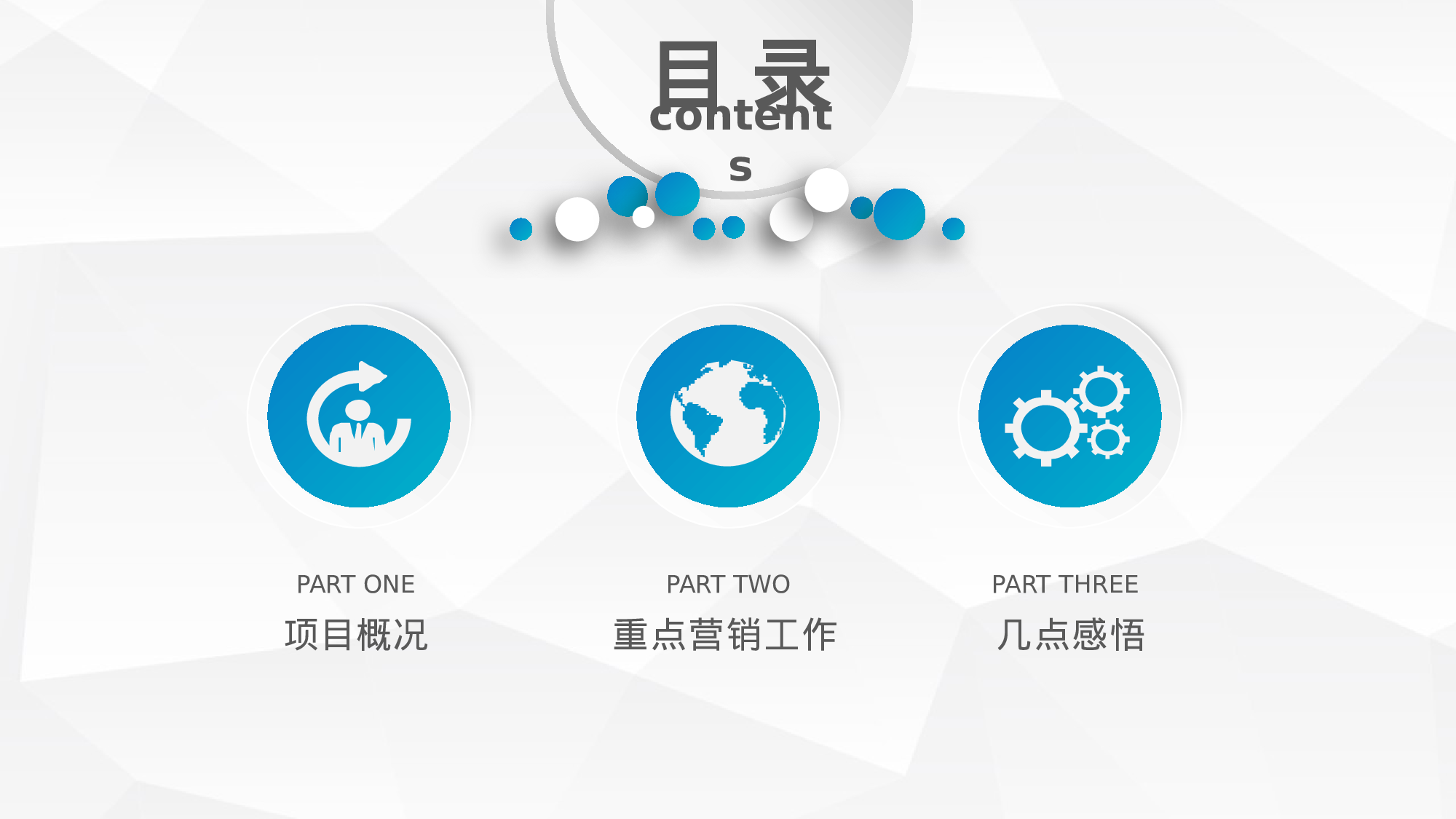 工作总结精选PPT15.pptx 第3页