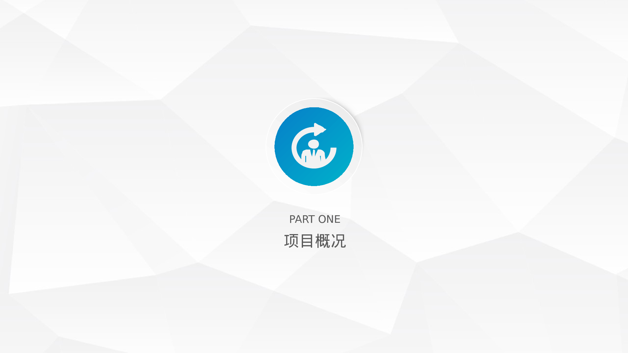 工作总结精选PPT15.pptx 第4页