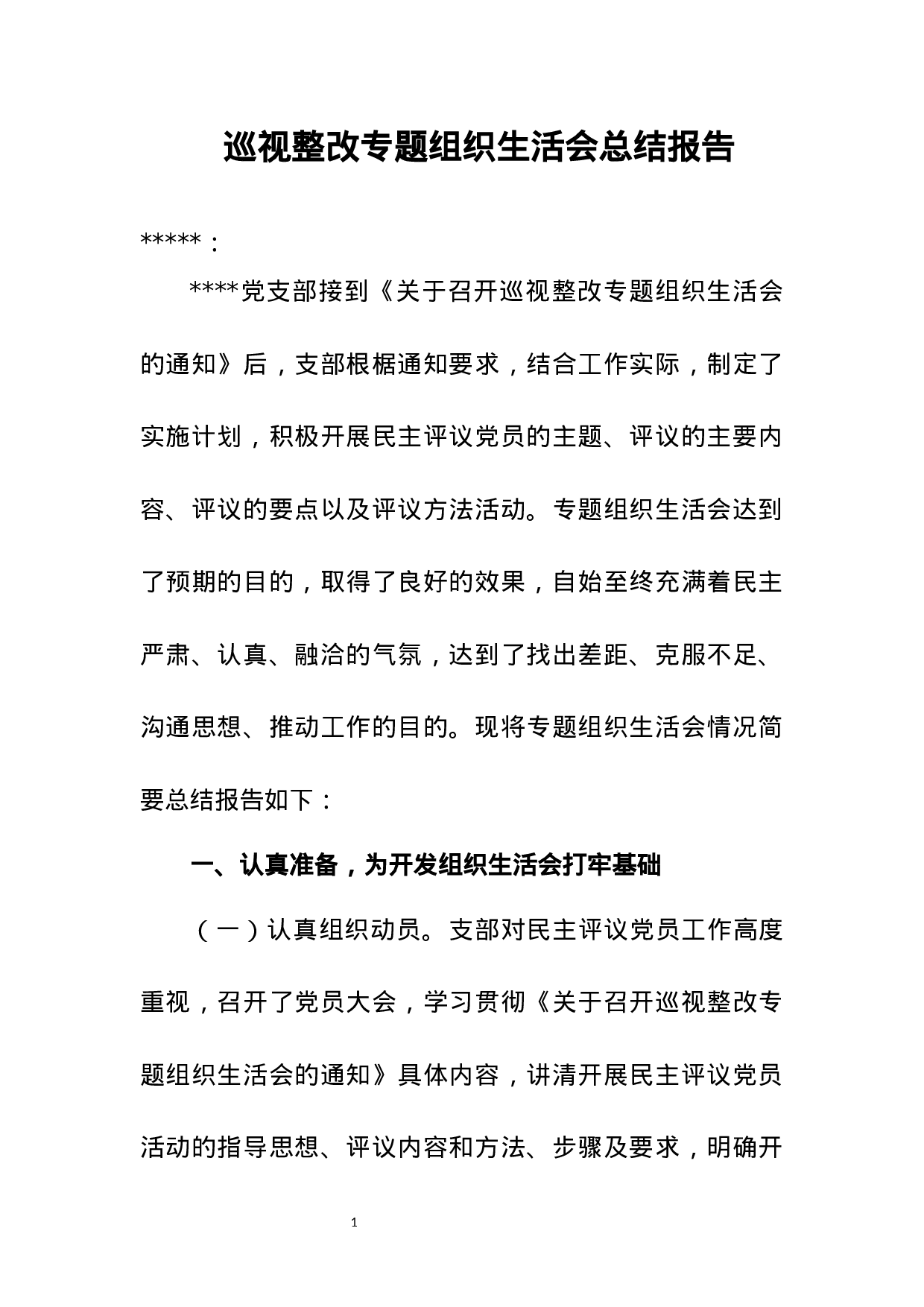 巡视整改专题组织生活会总结报告.docx 第1页