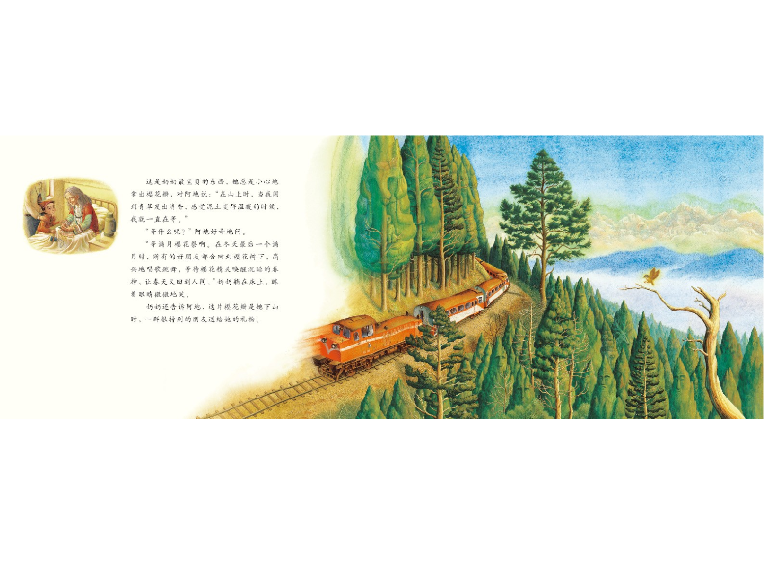 春神跳舞的森林.ppt 第6页