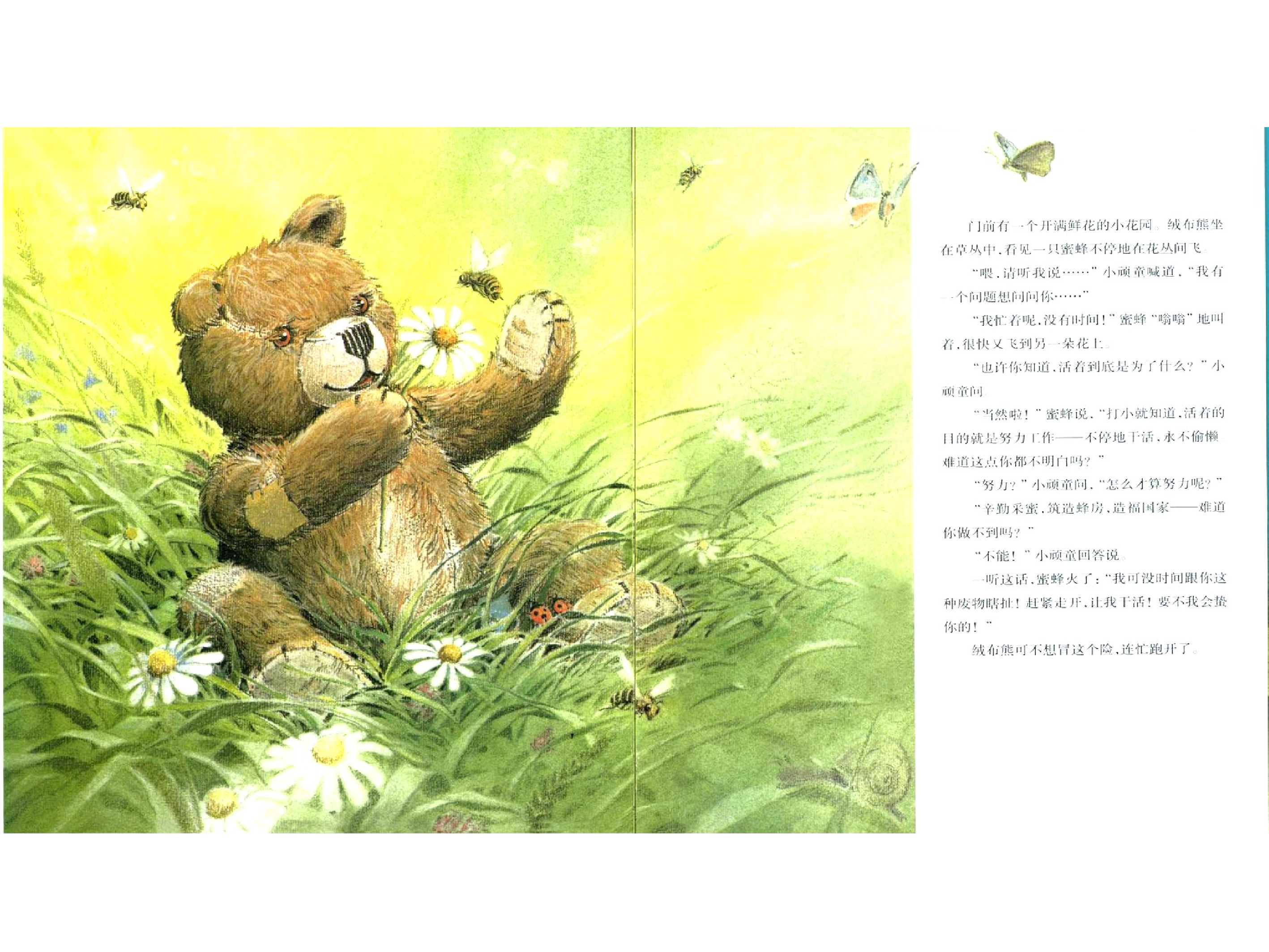 出走的绒布熊x.ppt 第6页