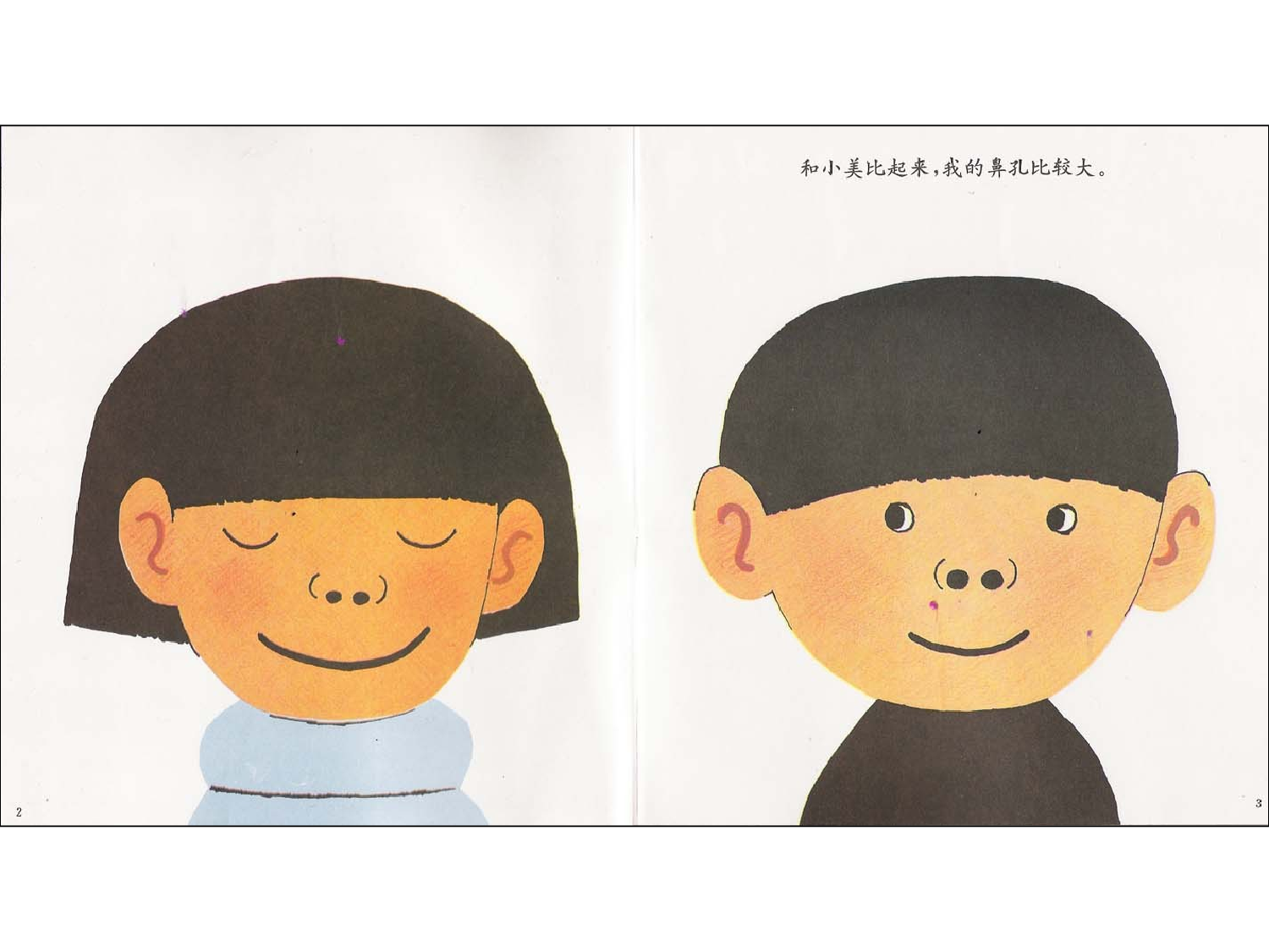 鼻孔的故事.ppt 第3页