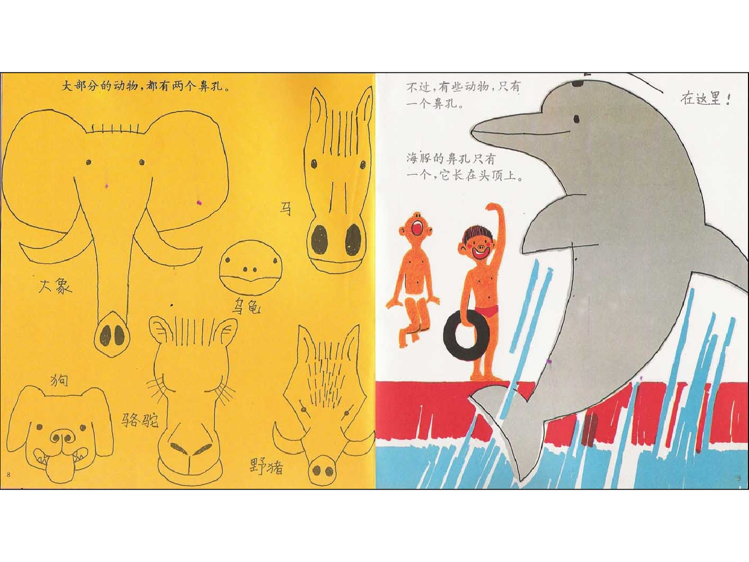 鼻孔的故事.ppt 第6页