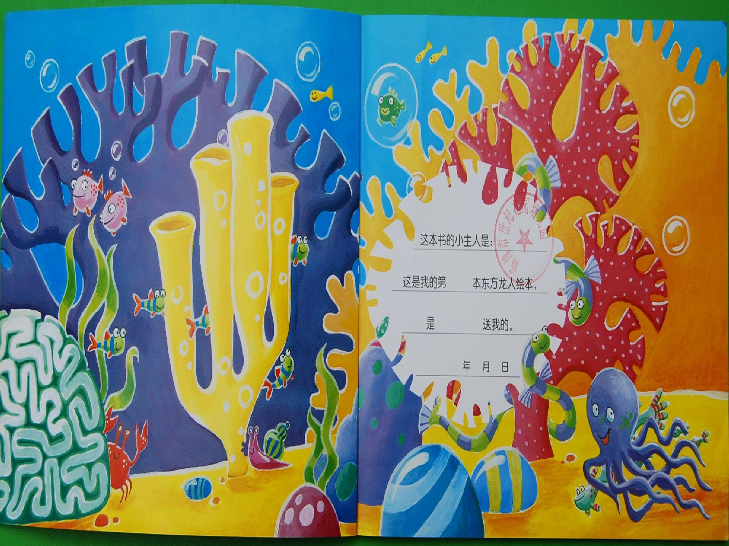 爱笑的鲨鱼.ppt 第2页