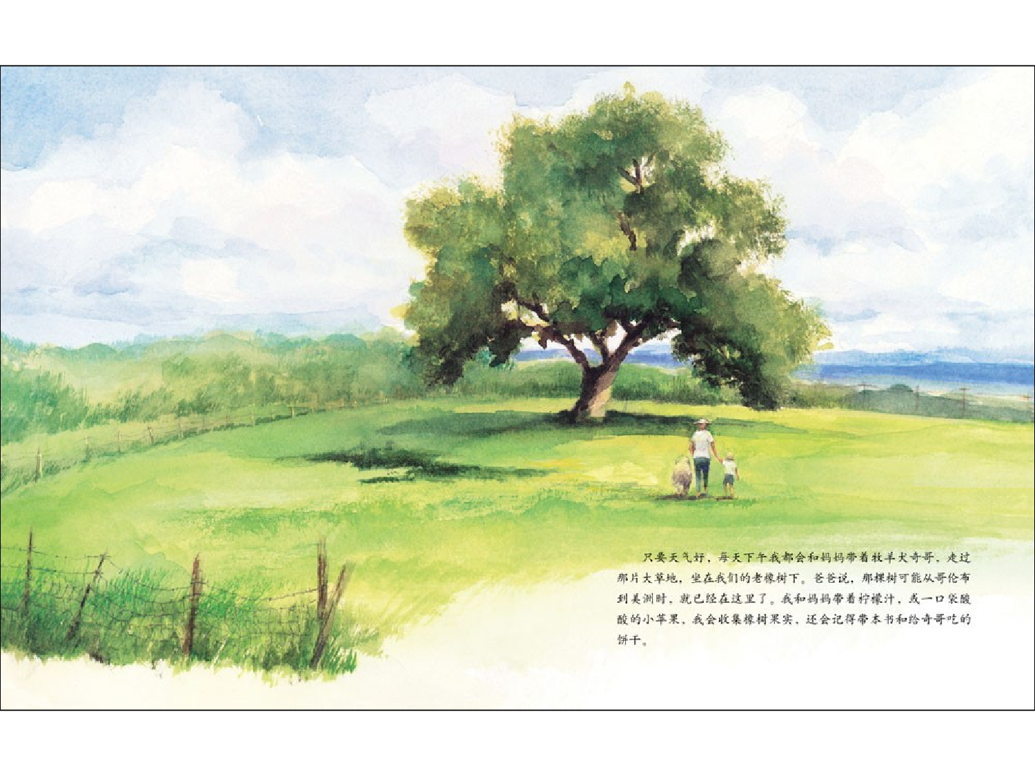 艾莉丝的树.ppt 第4页