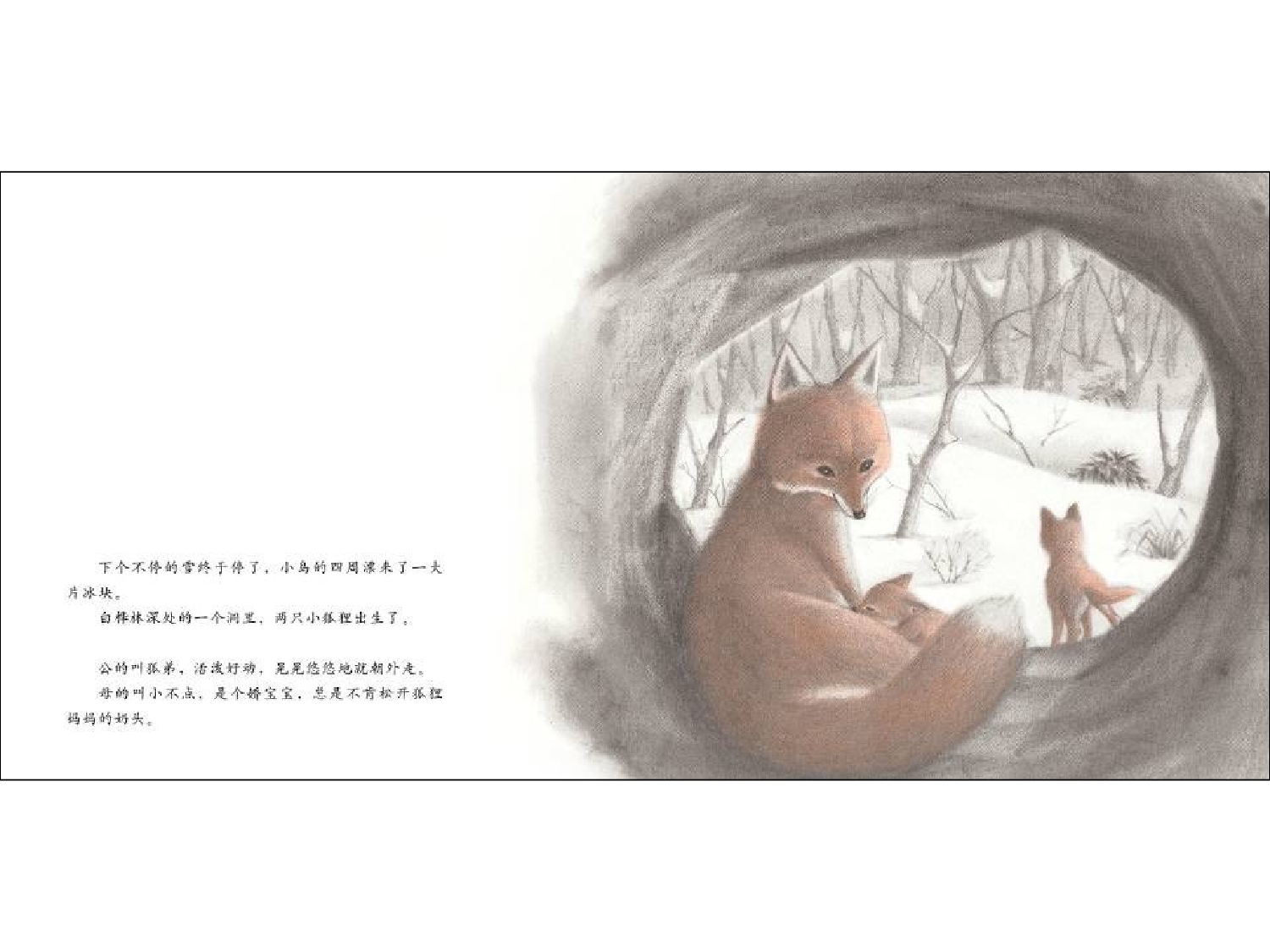 《切洛努普的狐狸》.ppt 第4页