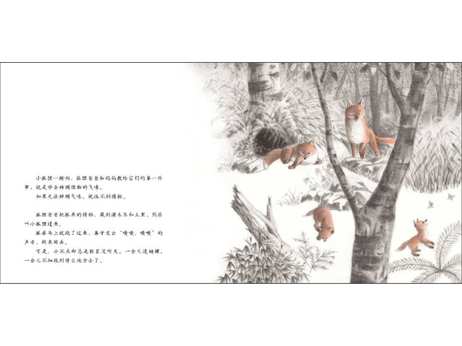 《切洛努普的狐狸》.ppt 第5页