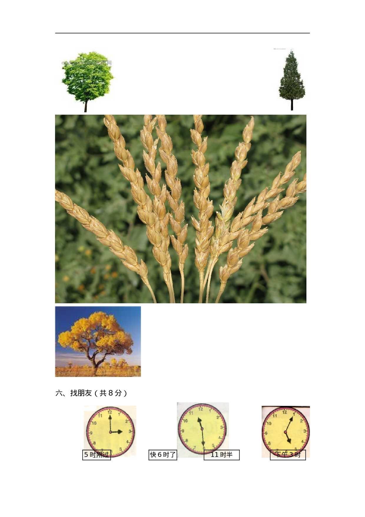 新人教版小学一年级数学上册期末试卷9(1).doc 第5页
