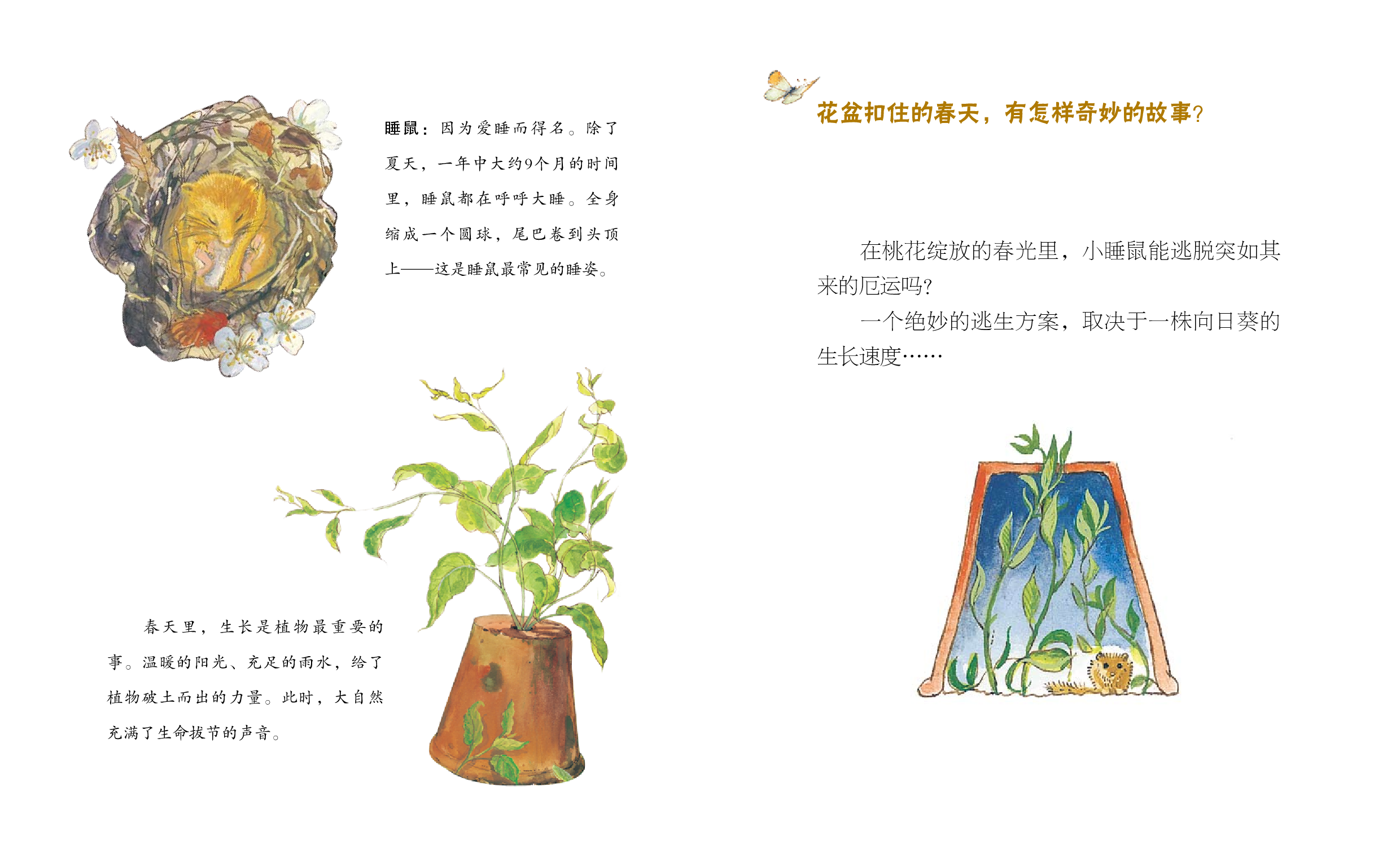 生长在春天.pdf 第2页